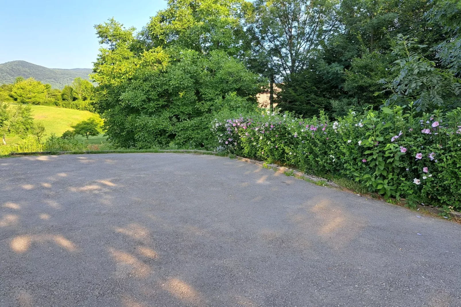 Guesthouse Žafran- Two Bedroom Apartment-Gardens in summer