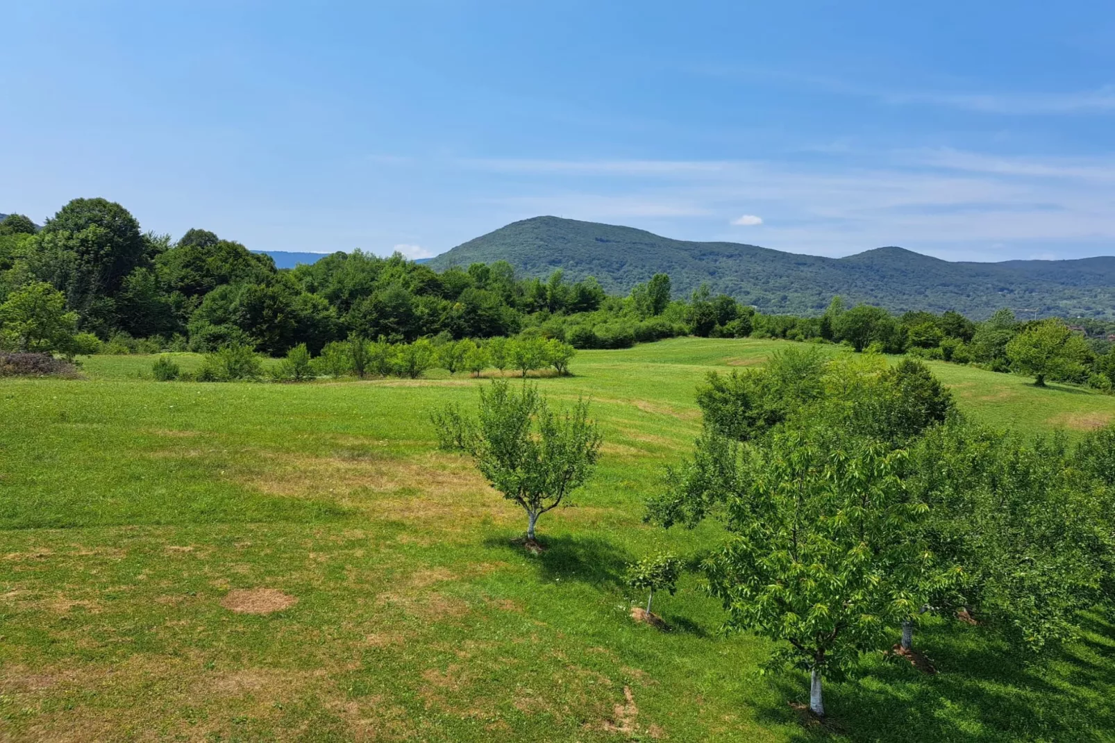 Guesthouse Žafran- Two Bedroom Apartment-View