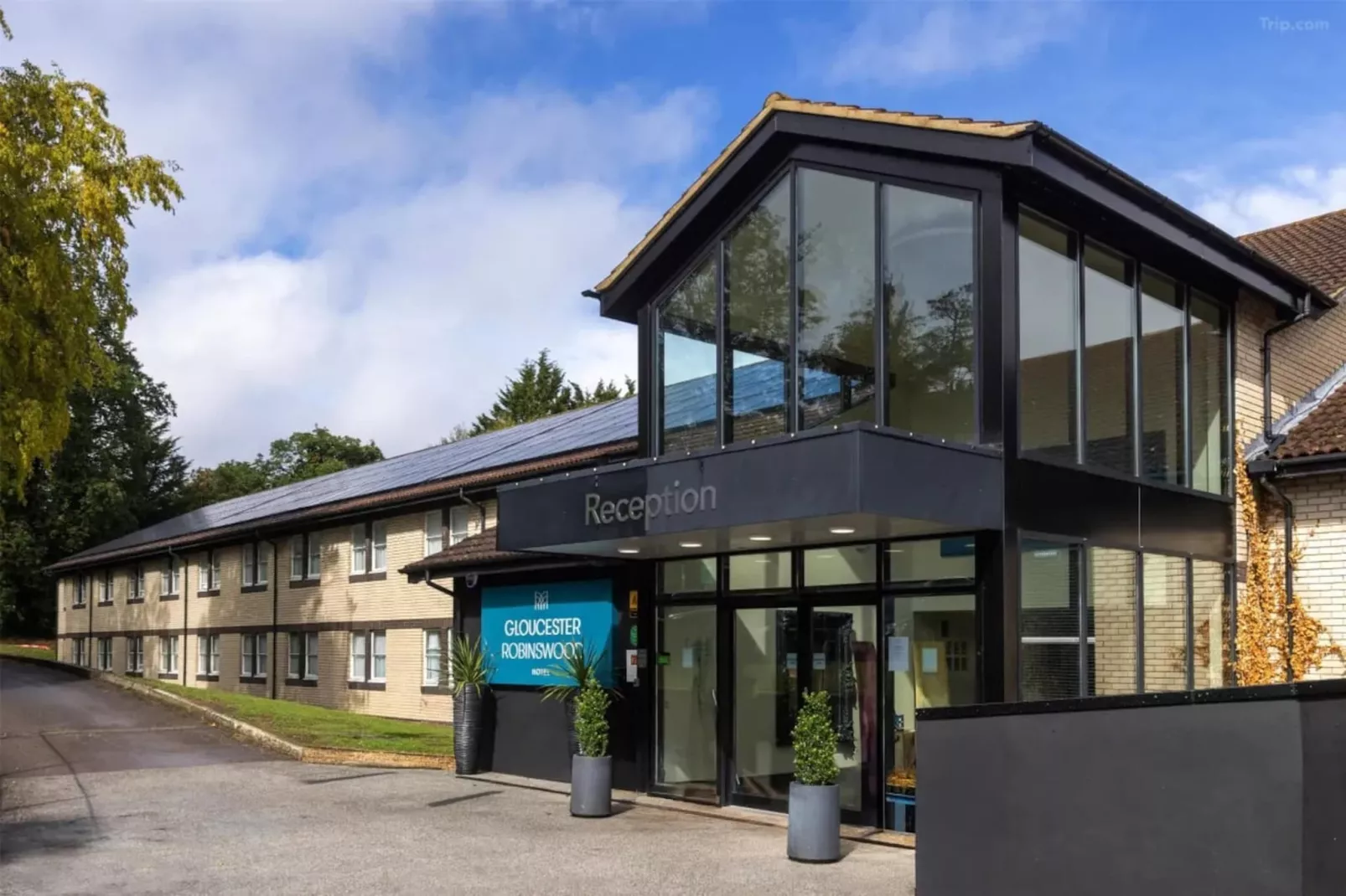 Executive Double Room