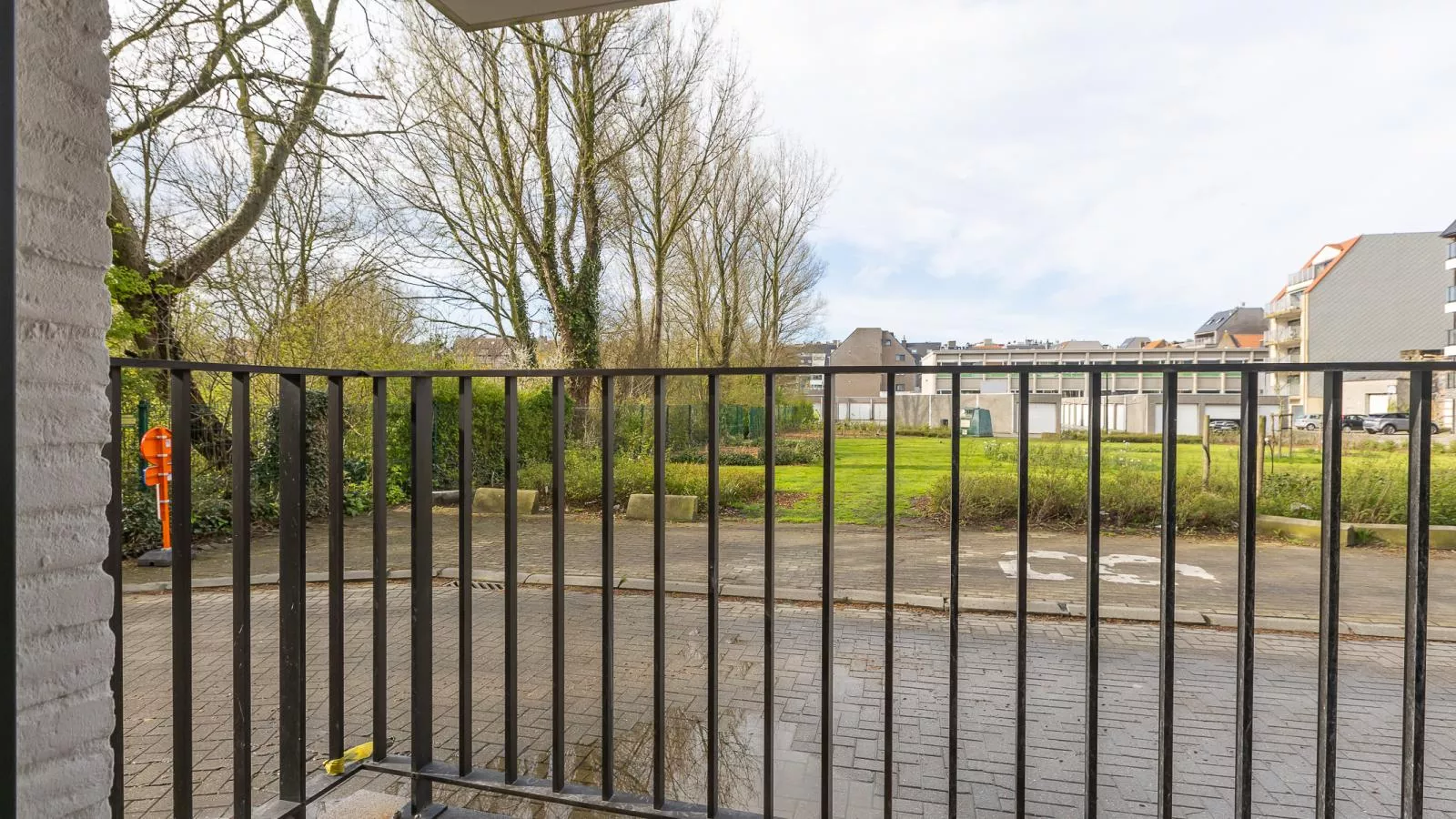 Green Lane The Park - 0004 + box 41