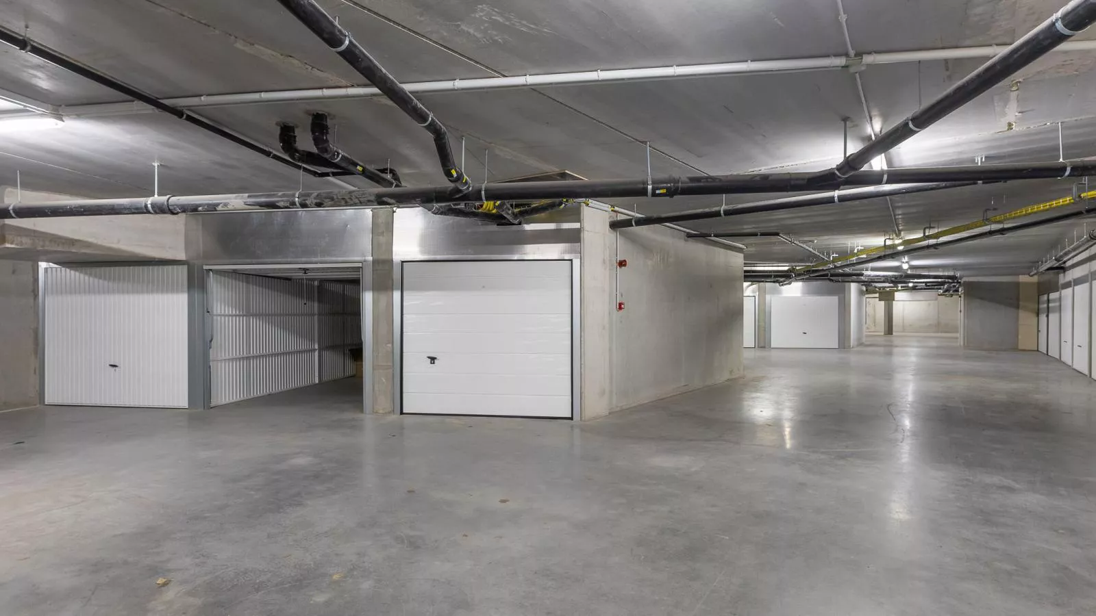 Green Lane The Sun  - 0401 + box 60