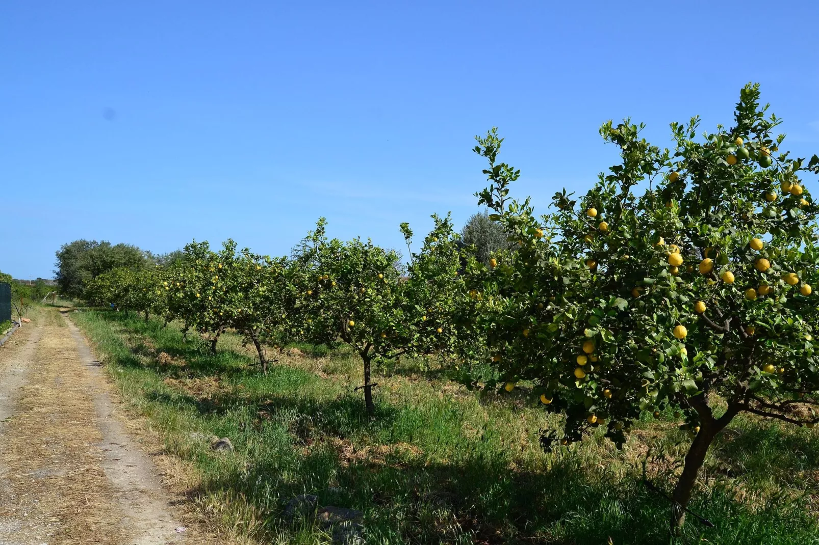 Villa Floridia Siracusa-Gebiete Sommer 5 km