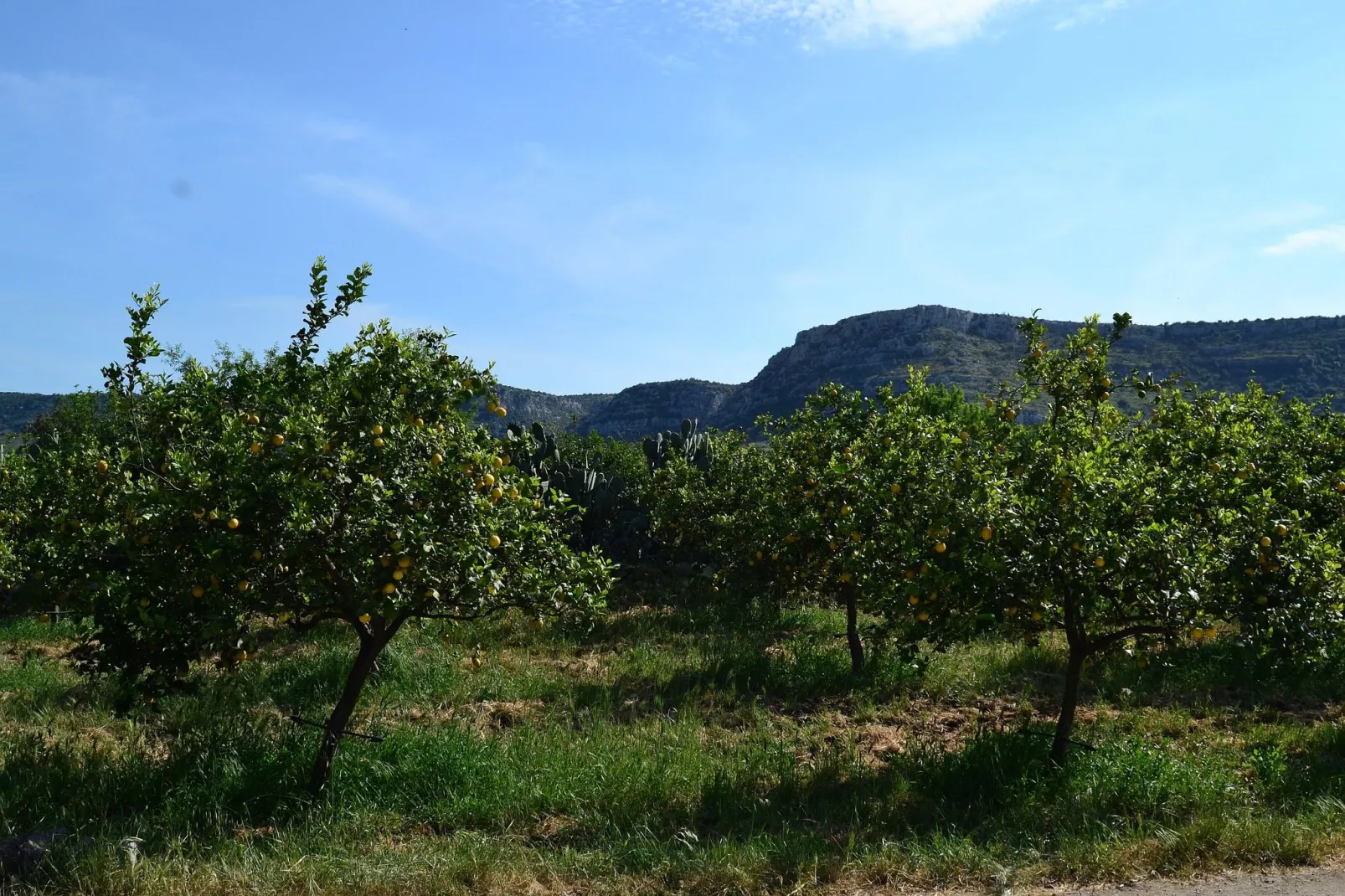Villa Floridia Siracusa-Gebiete Sommer 20 km
