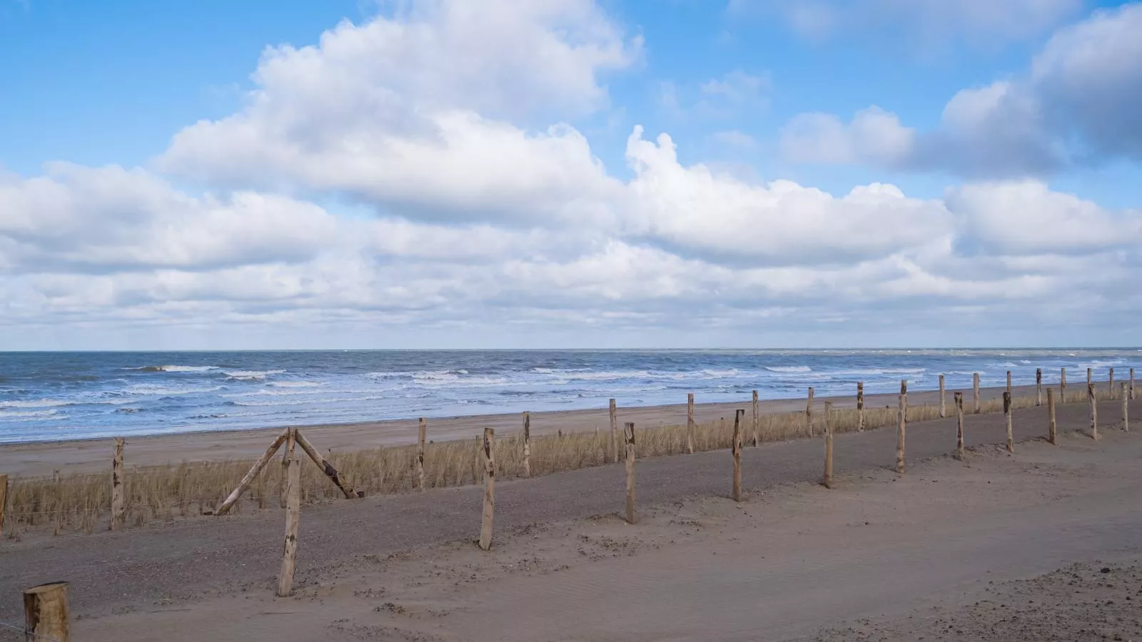 Nautilus - 0301-Aussicht