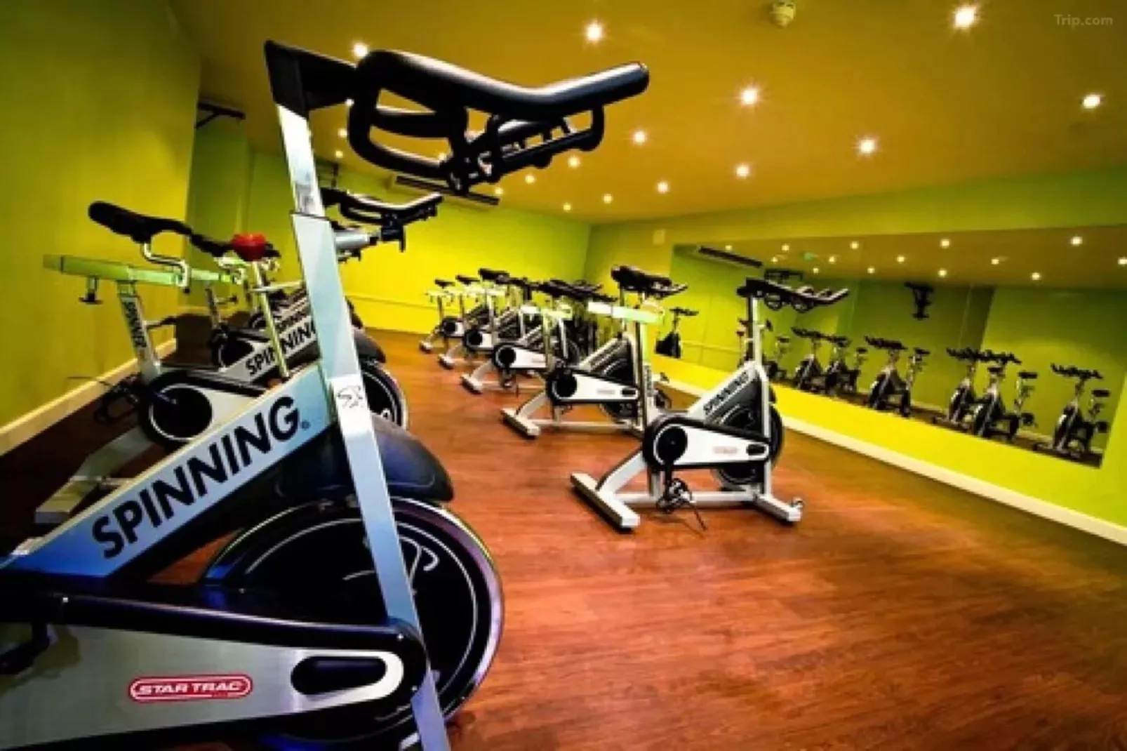 Classic Twin Room-Wellness