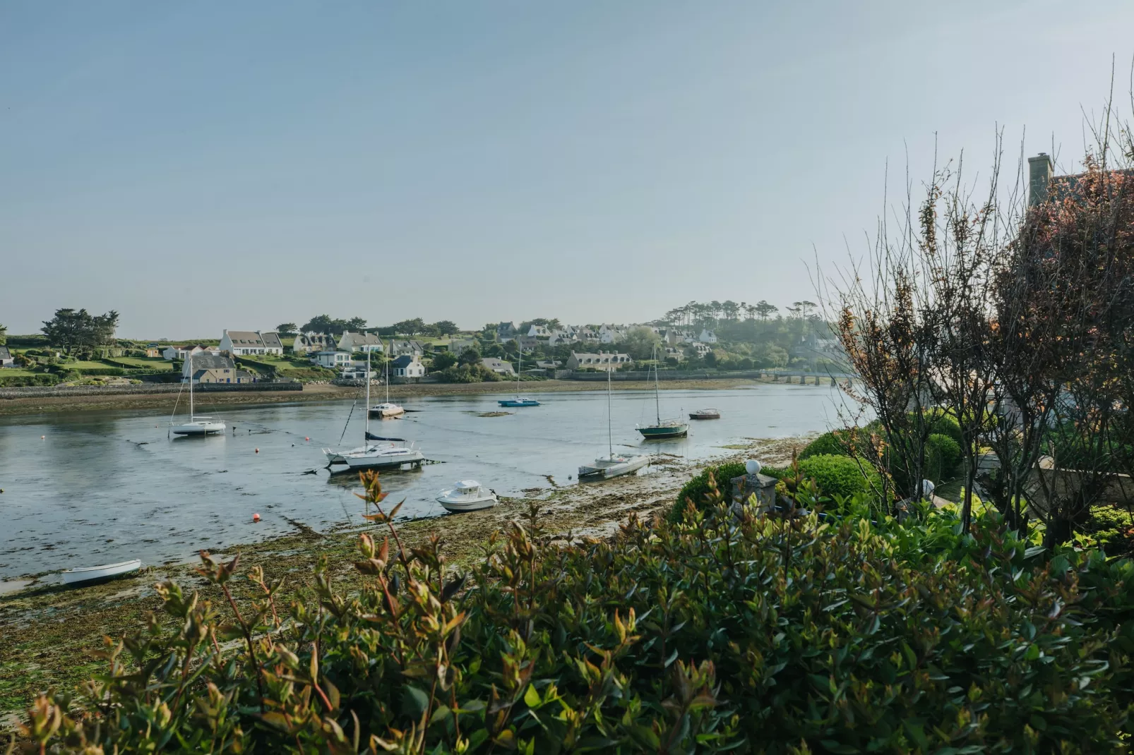 Maison de Vacances vue mer Le Conquet-Vue d'été