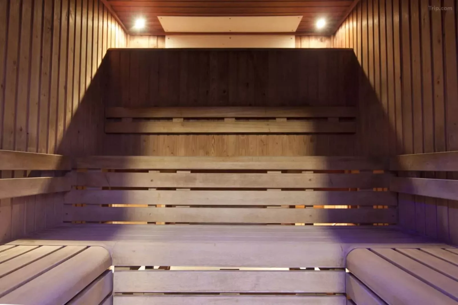 Executive Double Room-Wellness