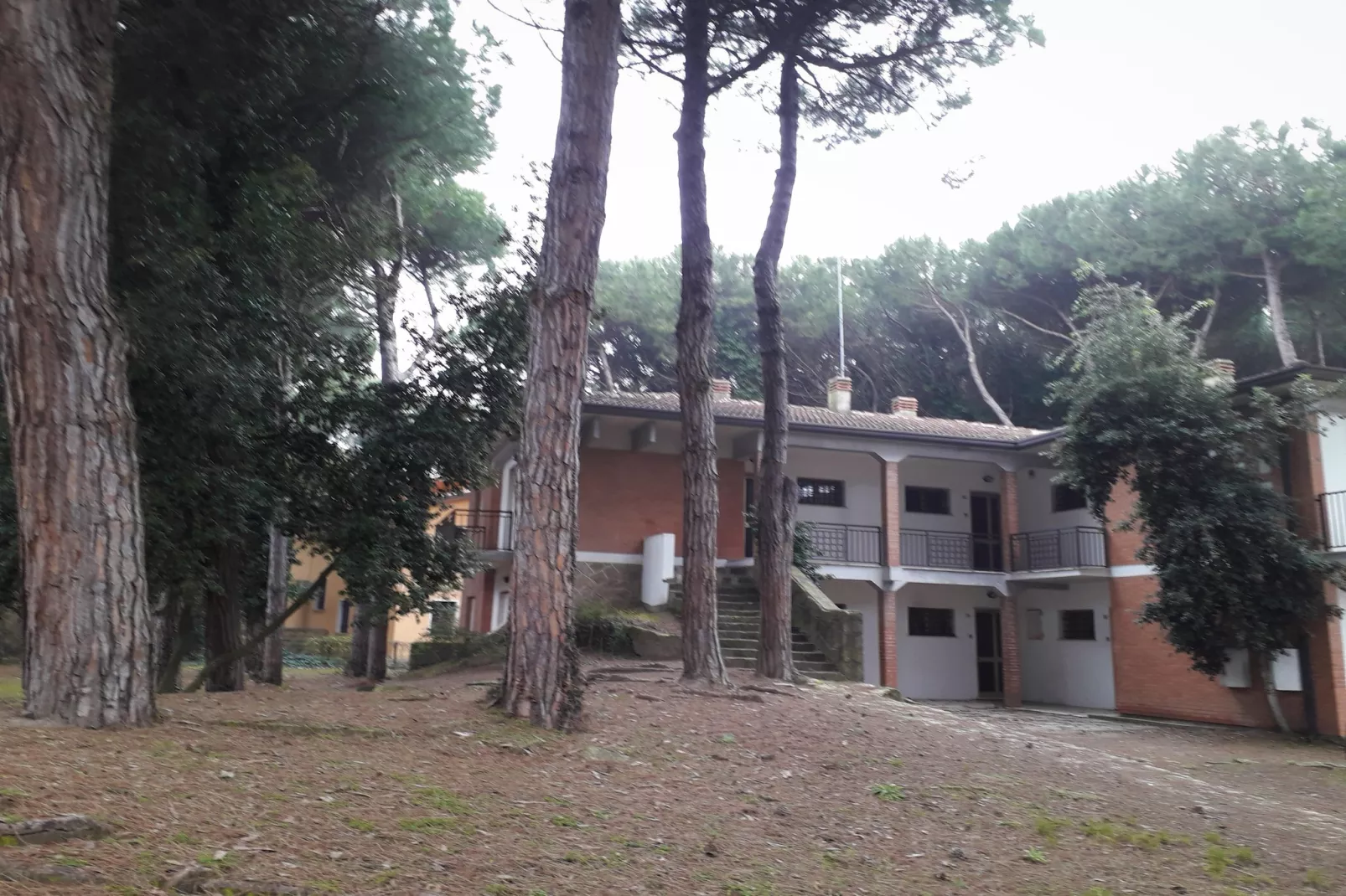 Sandra via Milano trilo - 15 -Gardens in summer