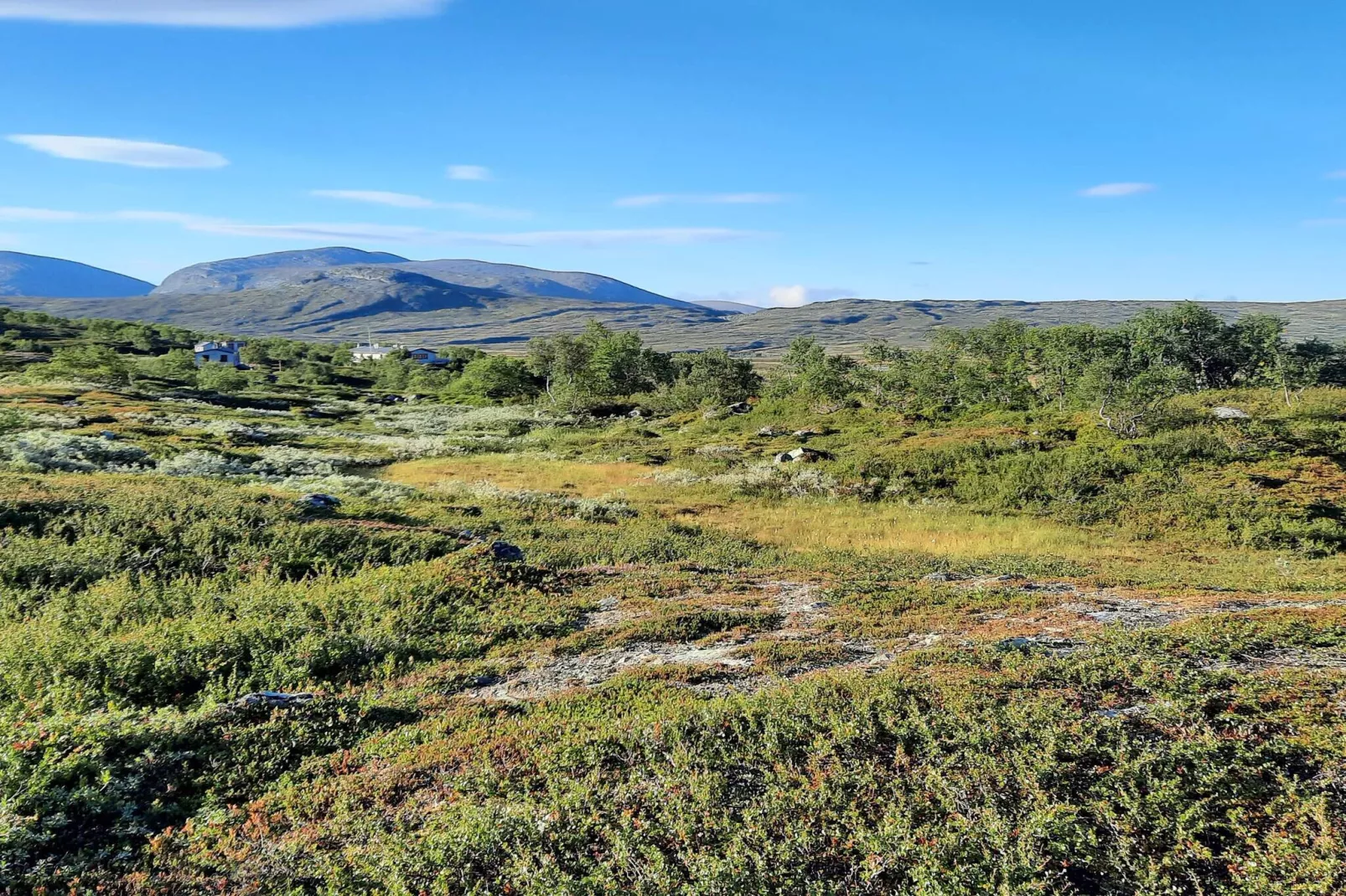 5 star holiday home in Sälen