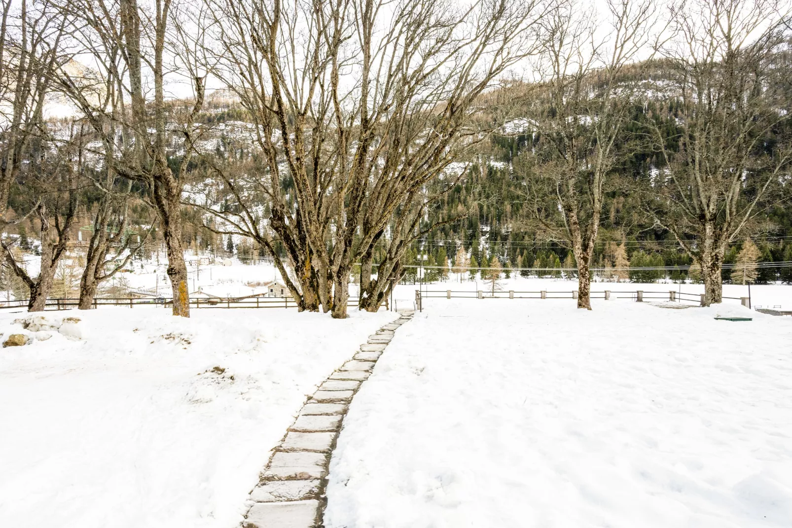 TRILO 1 CERESOLE - Vue d'hiver