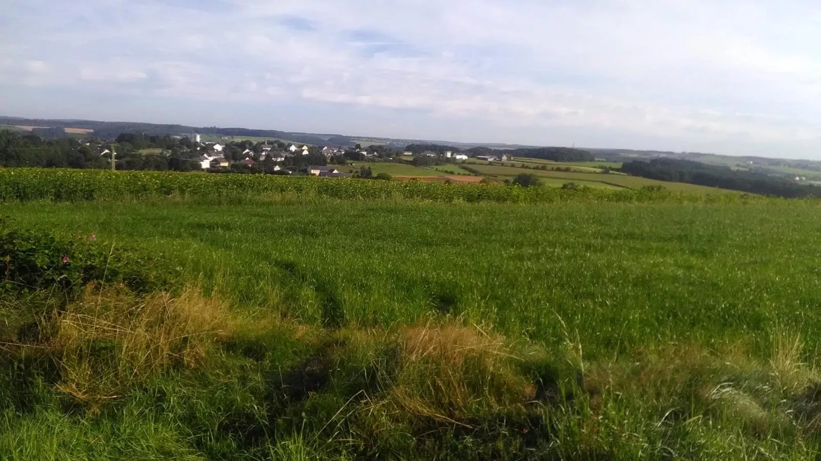 Großlangenfeld-Gebiete Sommer 1 km