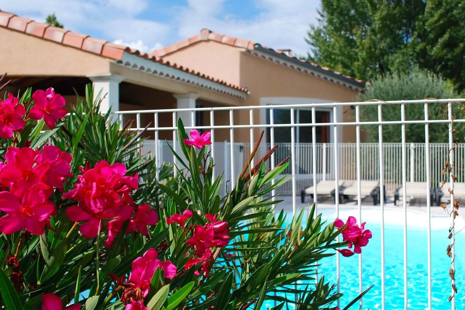 SCI Blue Hills Residence-Ambiente