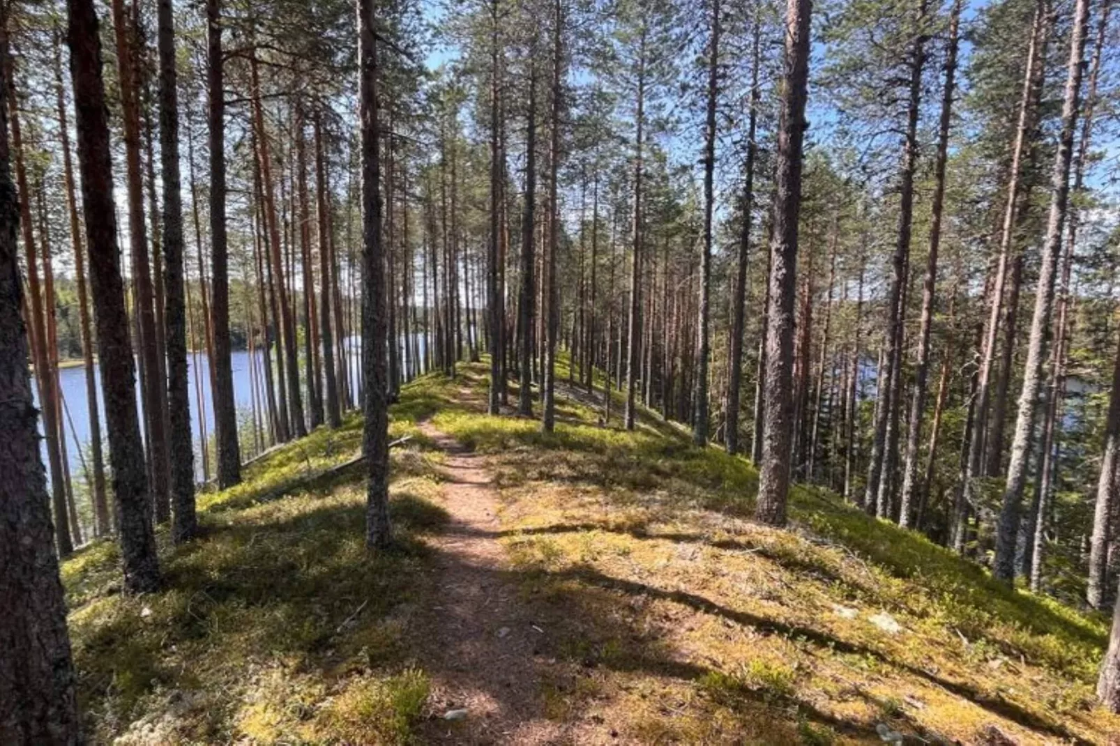 5 star holiday home in Sälen-Outdoor