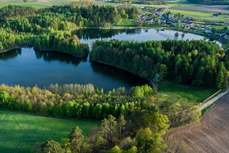 Domki letniskowe Dąbie