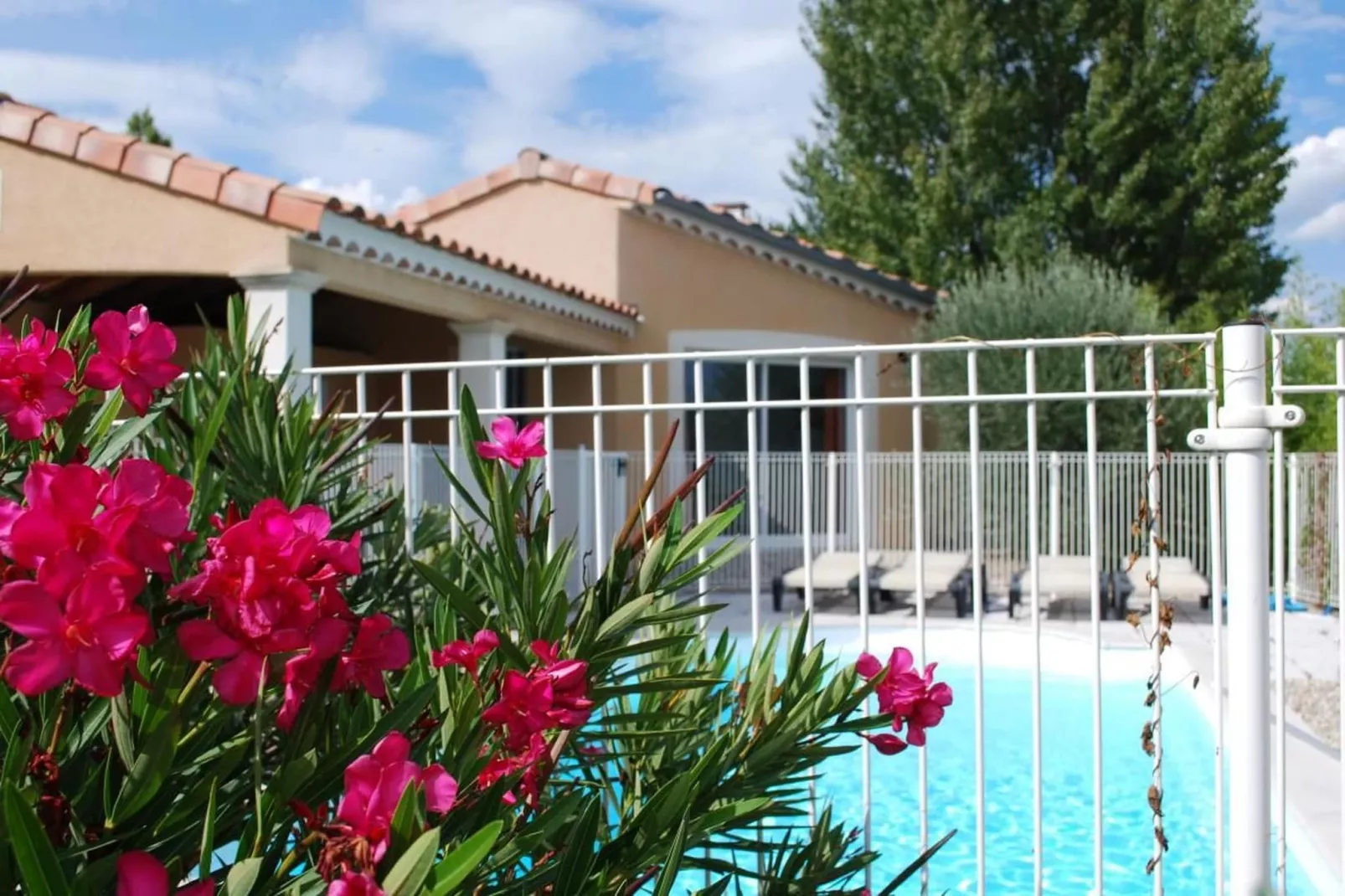 SCI Blue Hills Residence-Ambiente