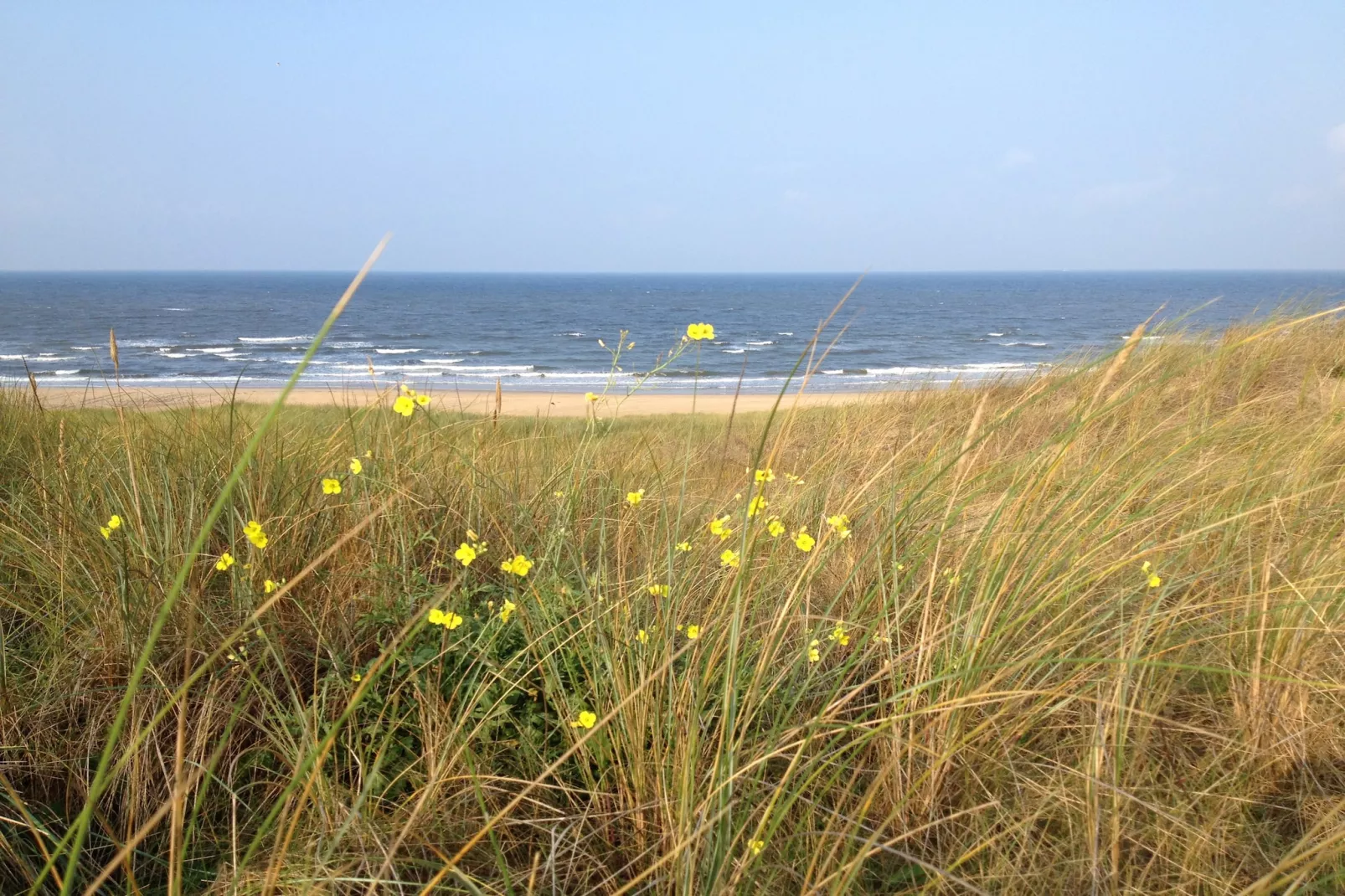Bergens Roodborstje-Gebiete Sommer 5 km