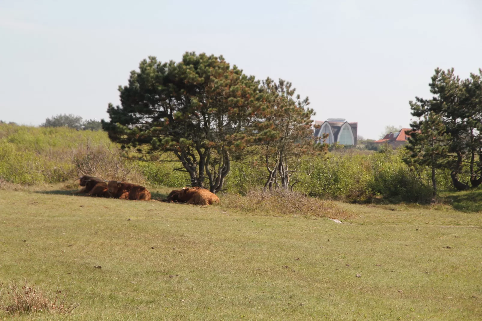 Bergens Roodborstje-Gebiete Sommer 5 km