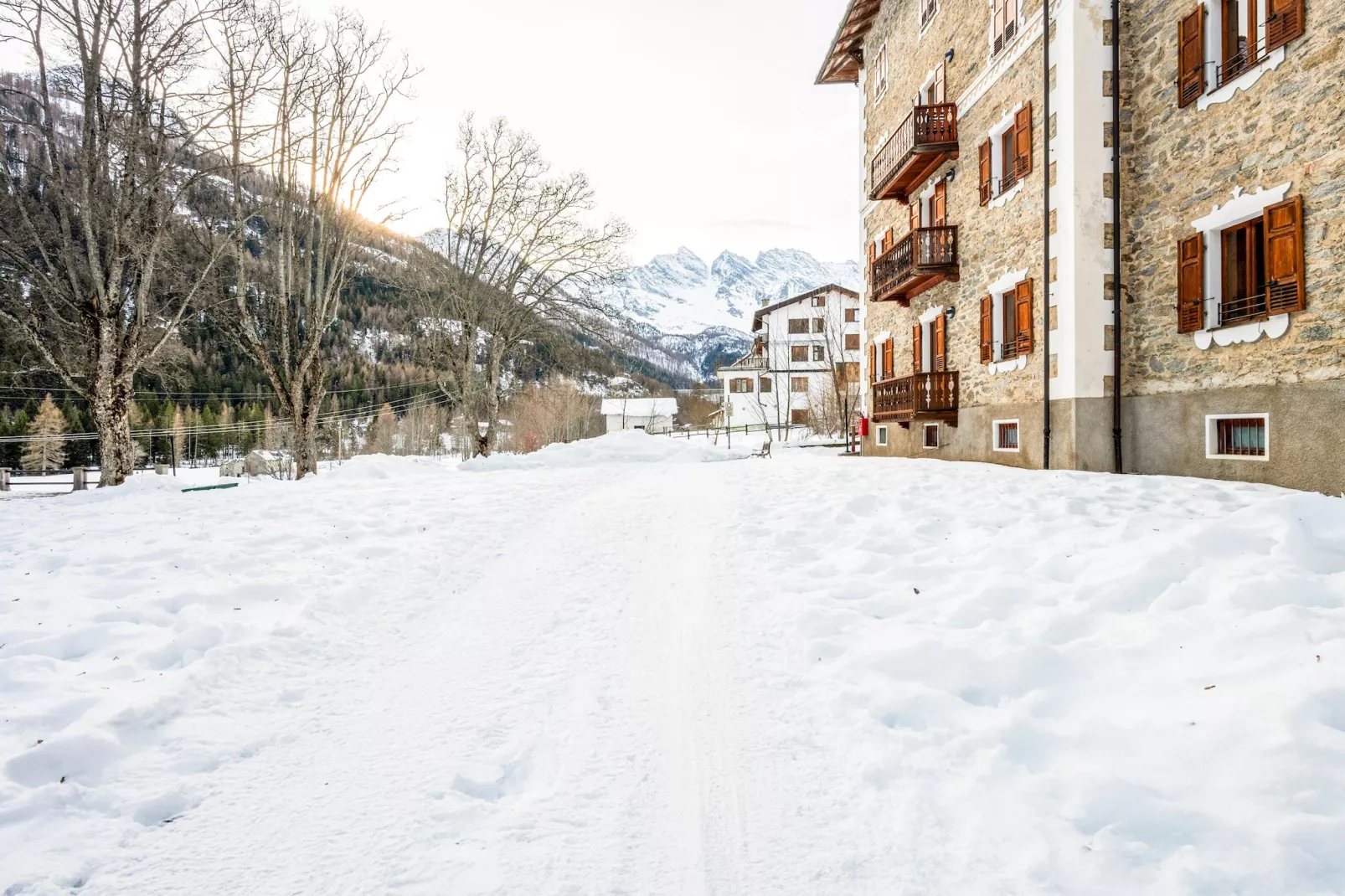 TRILO 1 CERESOLE - Jardin en hiver