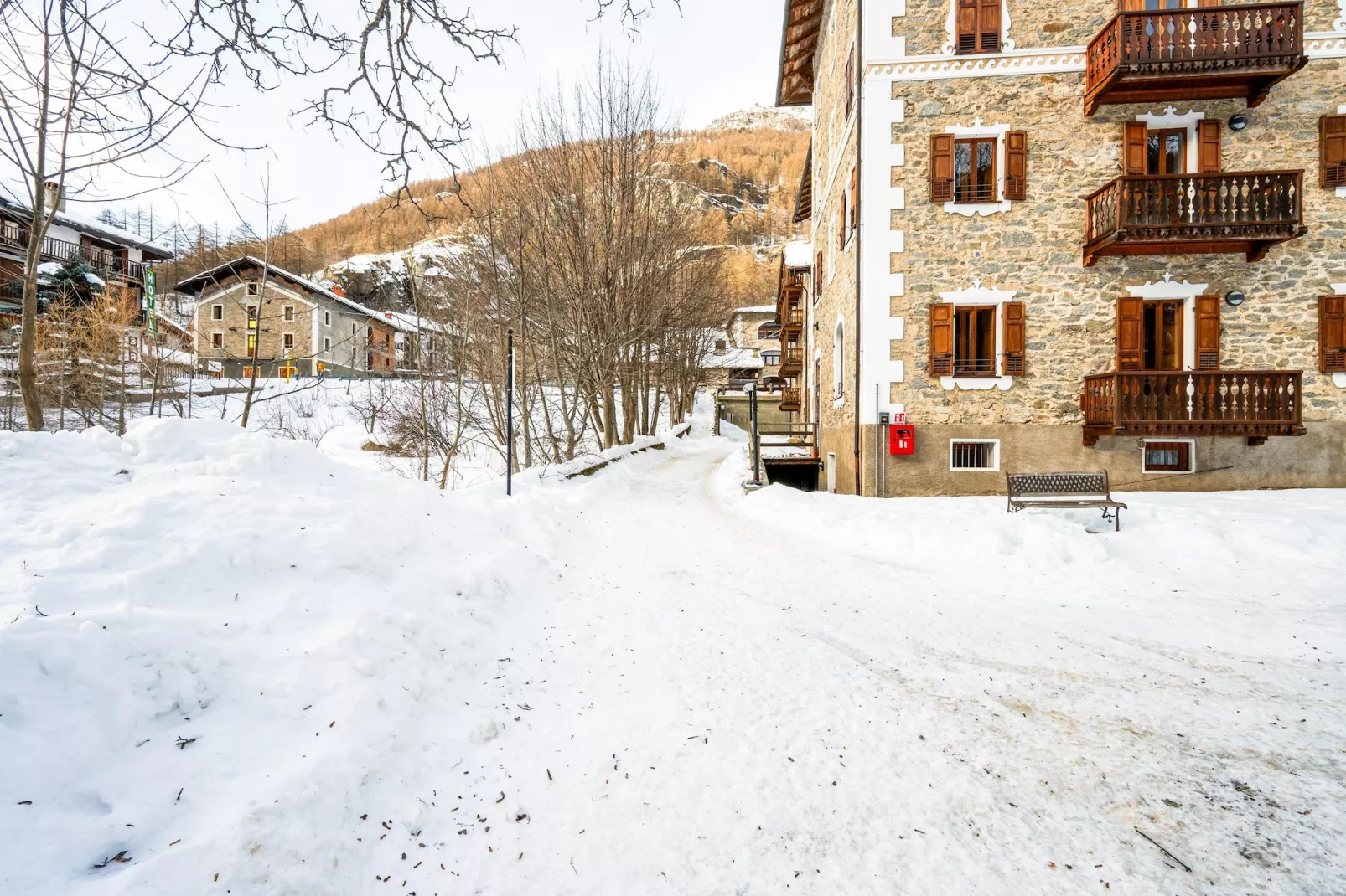 TRILO 1 CERESOLE - Jardin en hiver