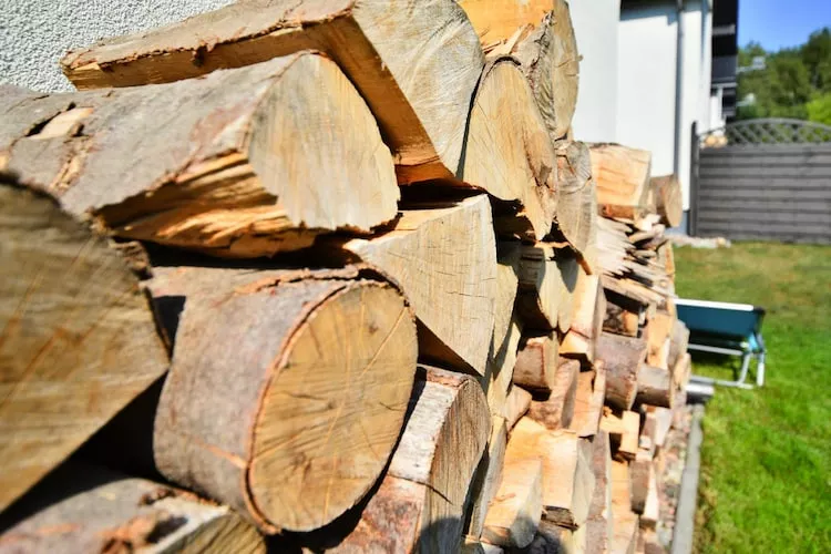 Domy wakacyjne w Rusinowie-View