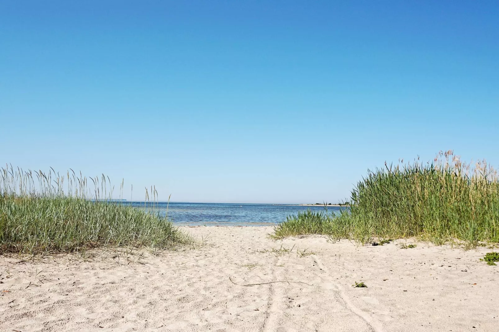 Maison de vacances pour 6 a GOTLANDS TOFTA-Non tagué