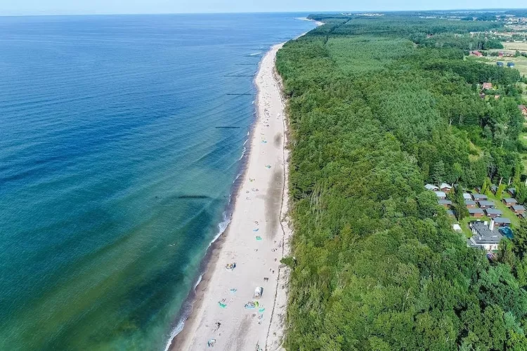 Domy wakacyjne w Rusinowie-Areas within 1km in summer