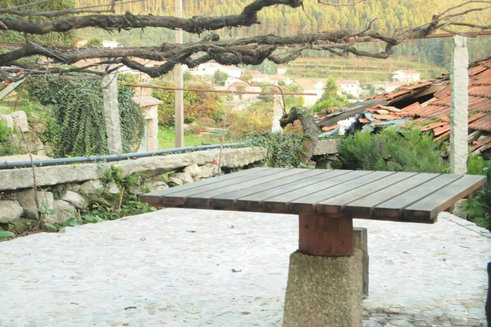 Casa da Ventozella/Suite with Hydromassage Shower-Garten Sommer