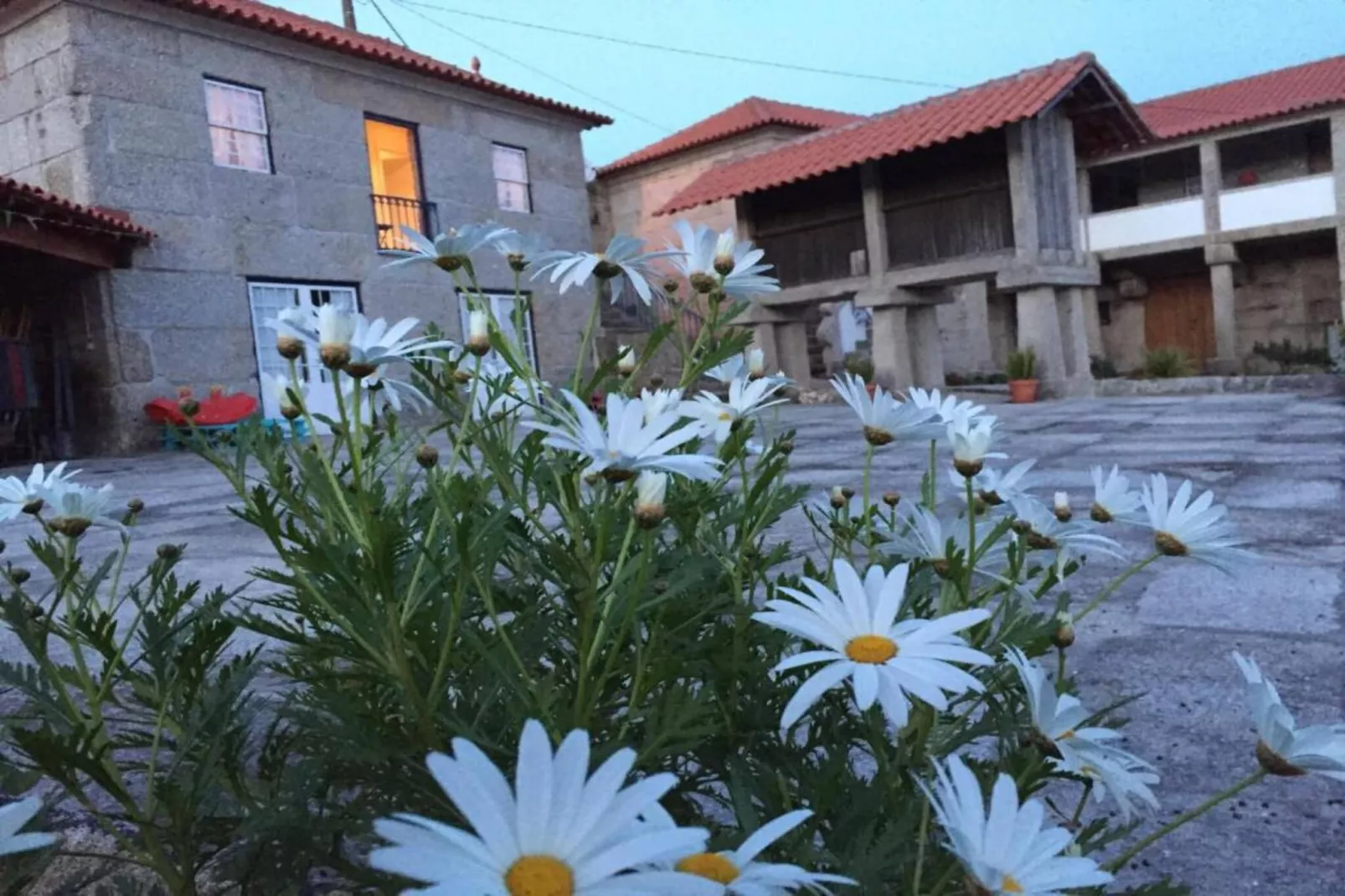 Casa da Ventozella/Suite-Ambiance