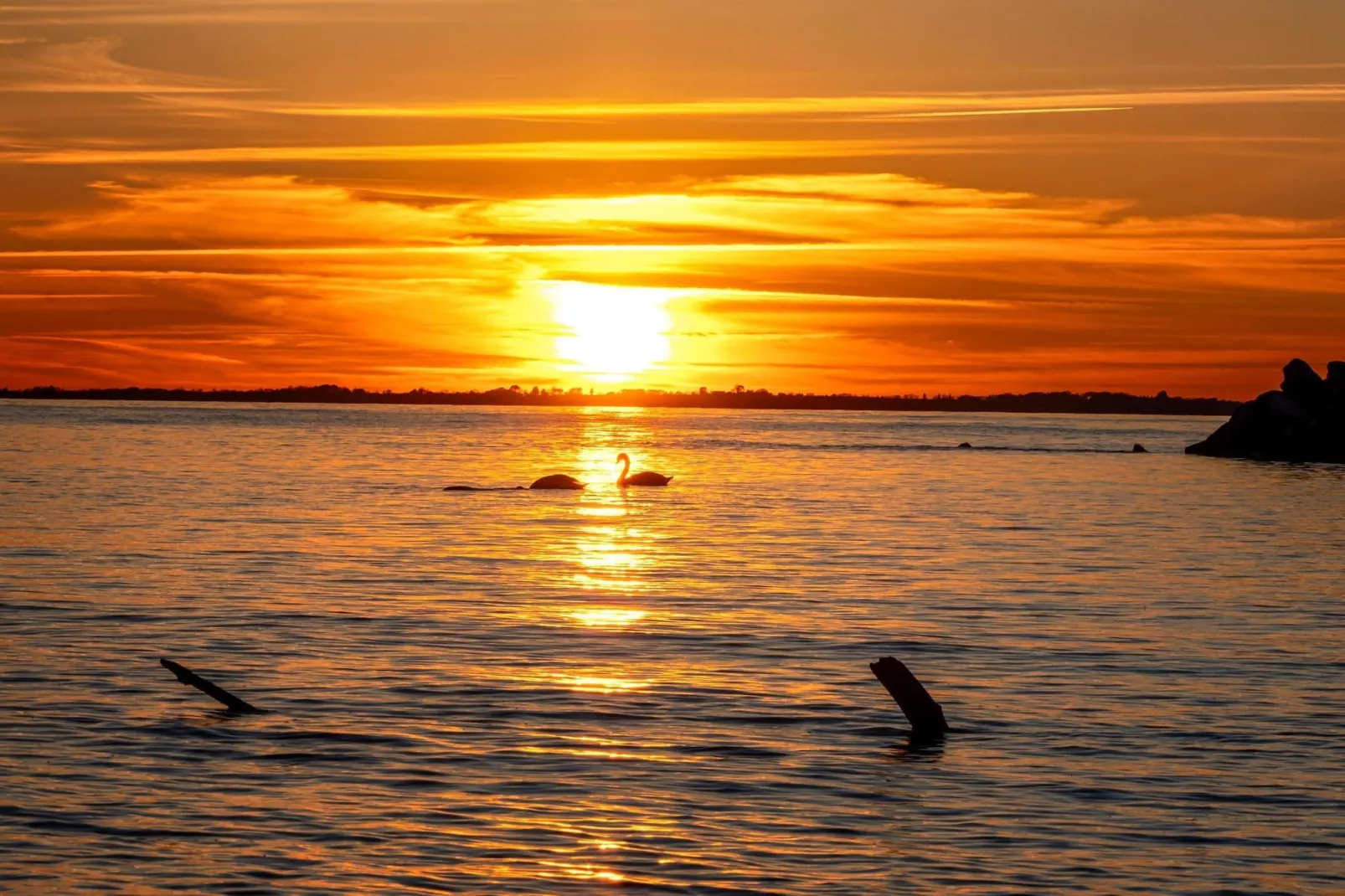 Rugen Double Room - Disability Access - Areas within 20km in summer