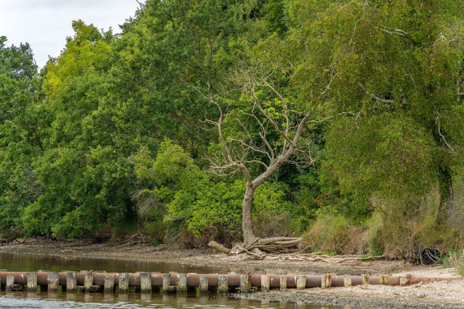 Rugen 2-bedroom suite 5 guest - Zones été à 20 km