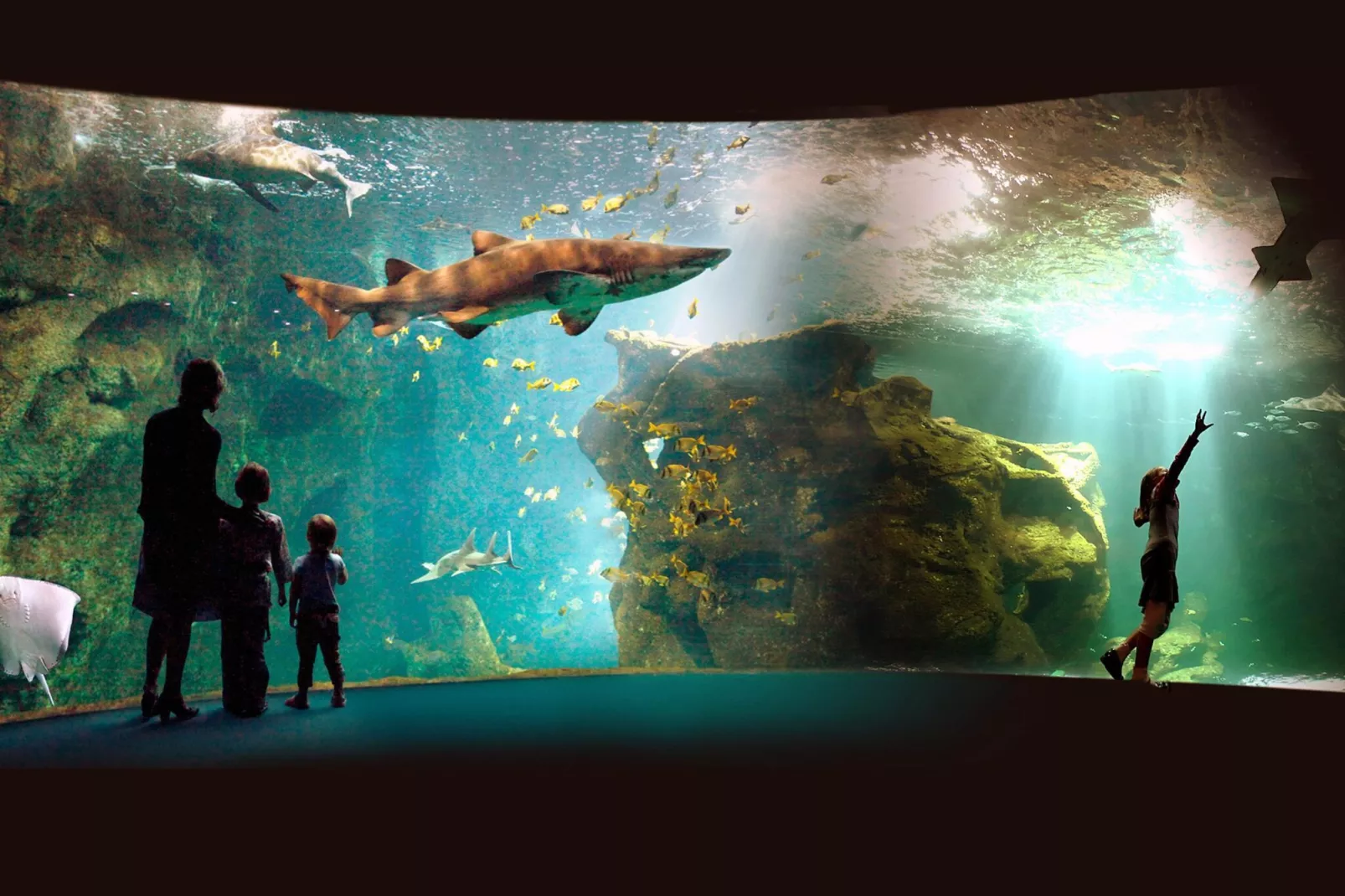 L'Aveneau - Vieille Vigne 2 - Gebiete Sommer 1 km