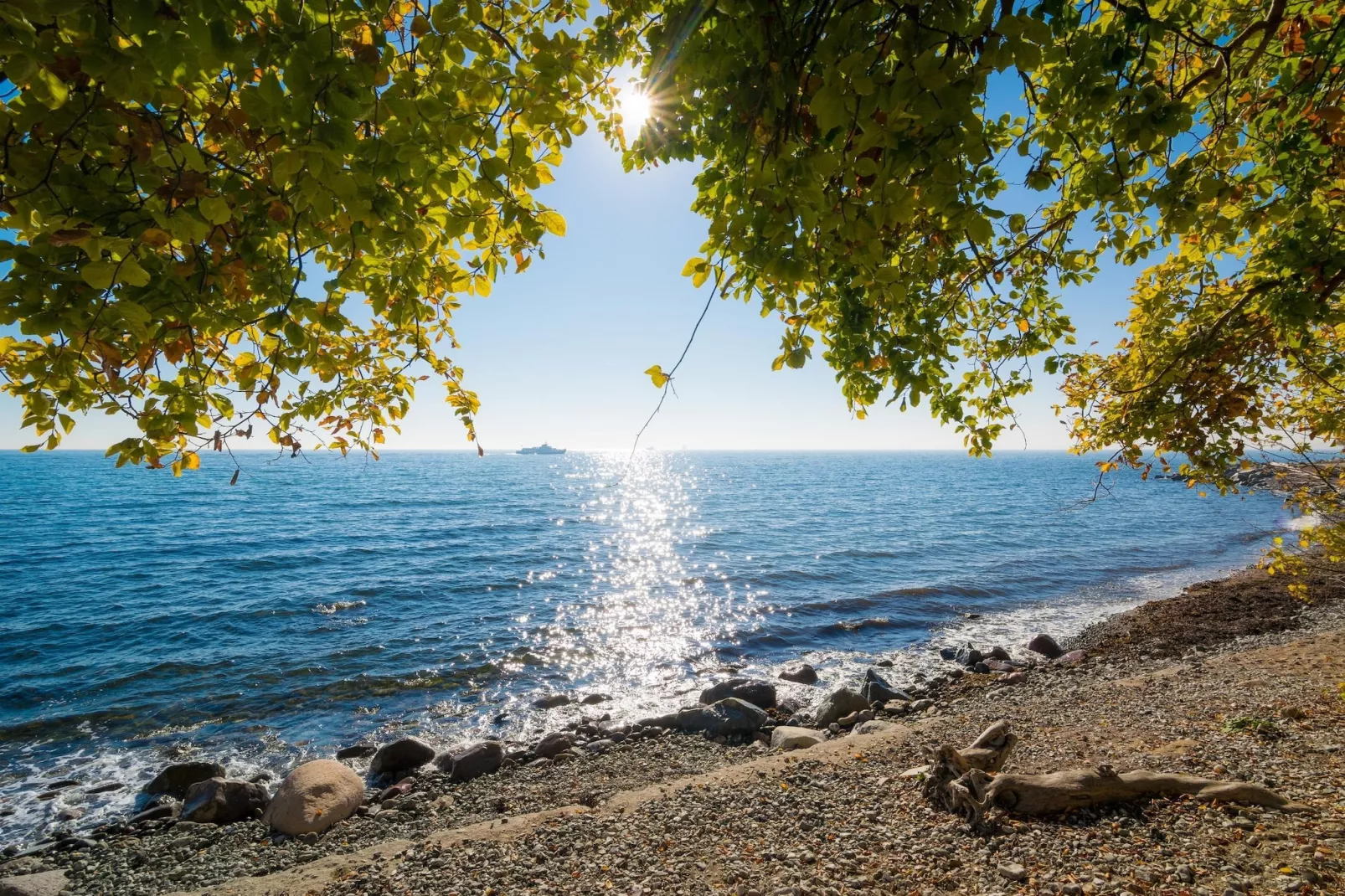 Rugen Suites - Gebiete Sommer 20 km