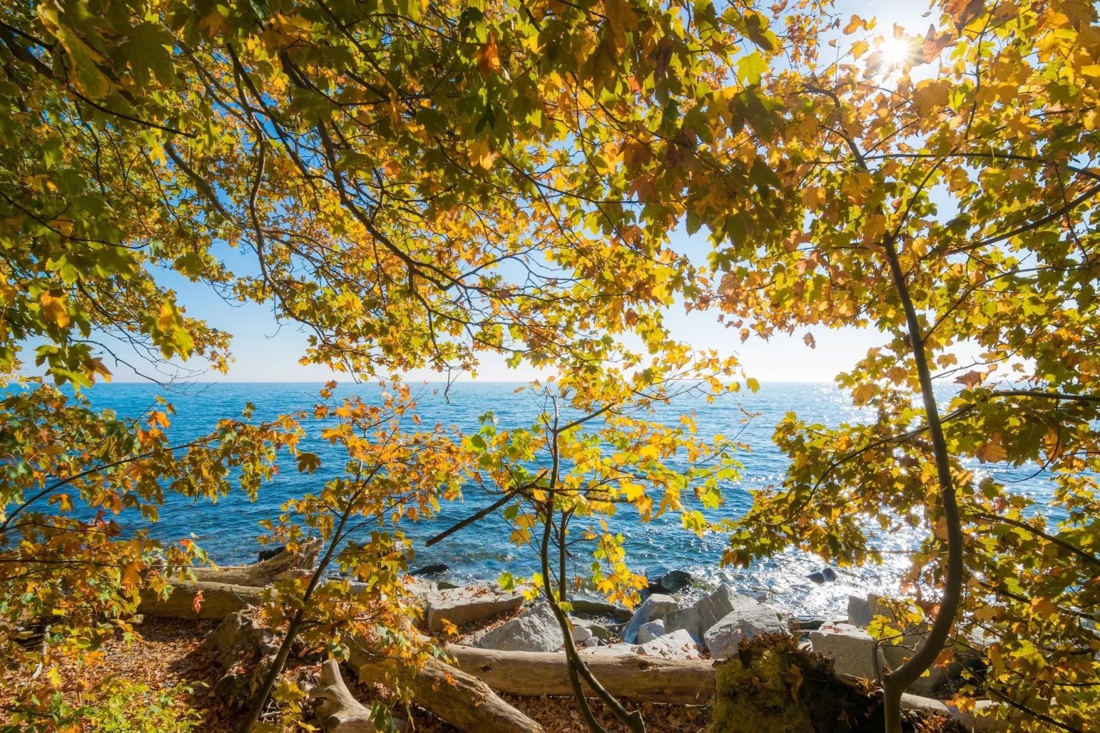 Rugen 4 Bedroom Apartment 9 guest - Zones été à 20 km