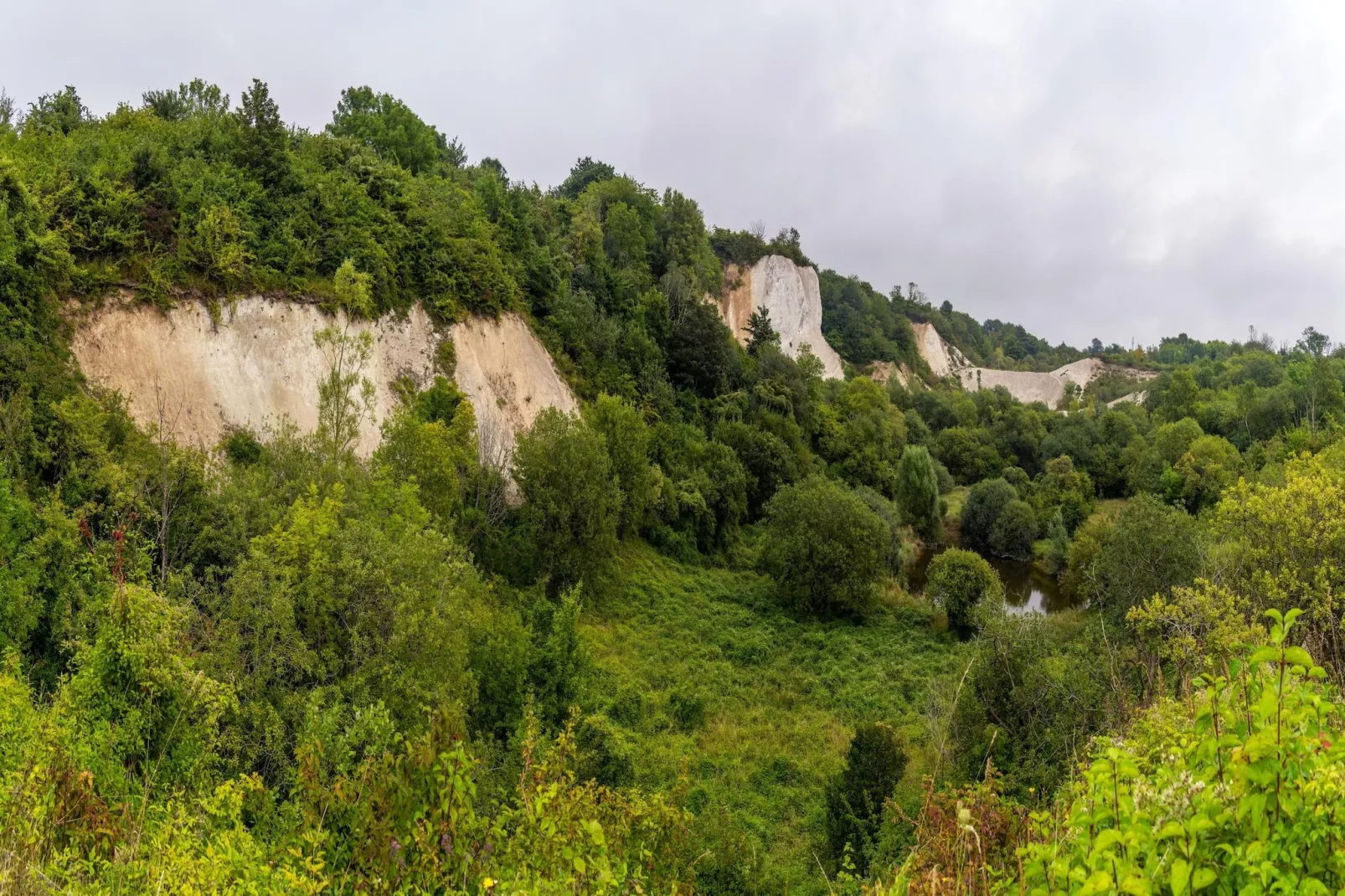 Rugen Double Room - Disability Access - Areas within 20km in summer