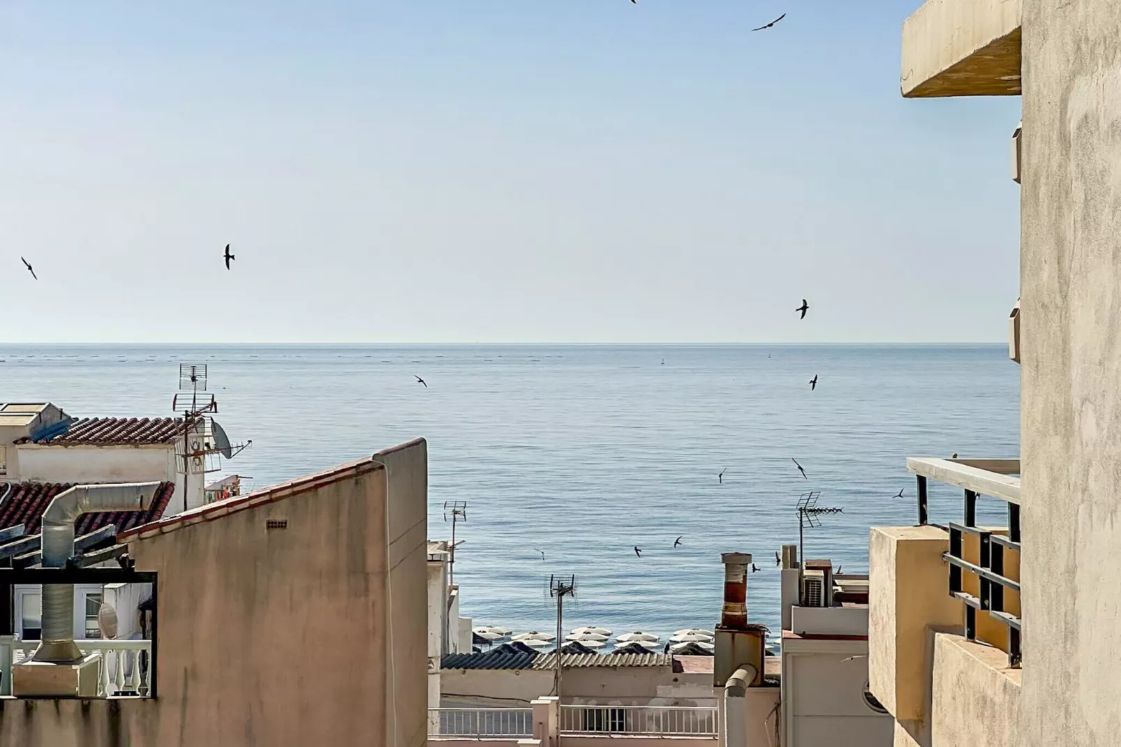 319 Núcleo de cristal