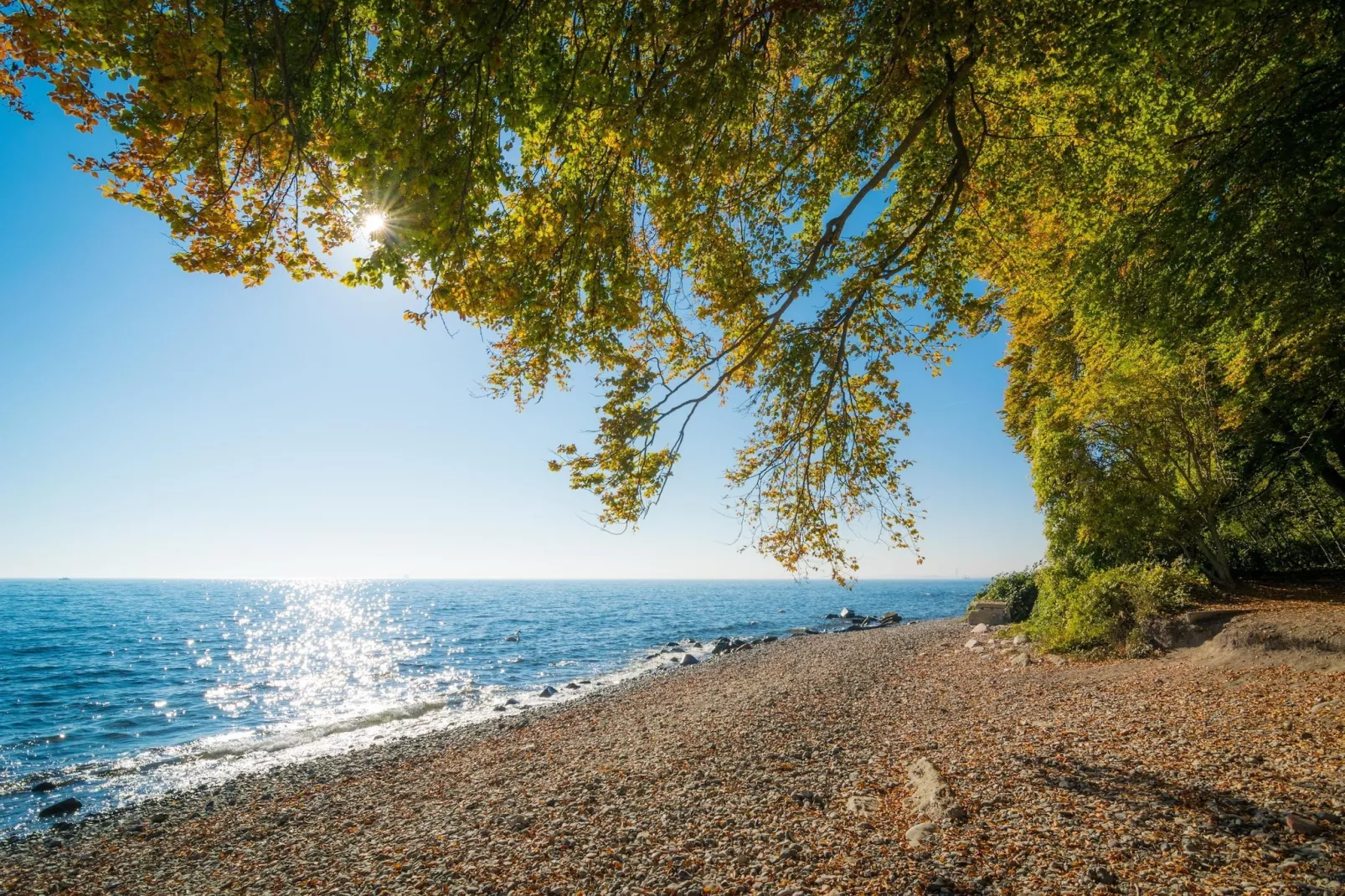 Rugen Suites - Gebiete Sommer 20 km