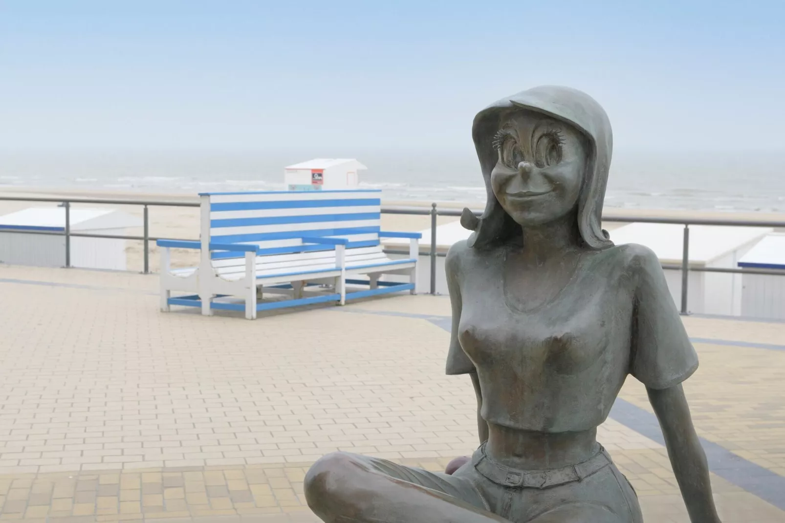 MARTINY 0801 - Areas within 1km in summer