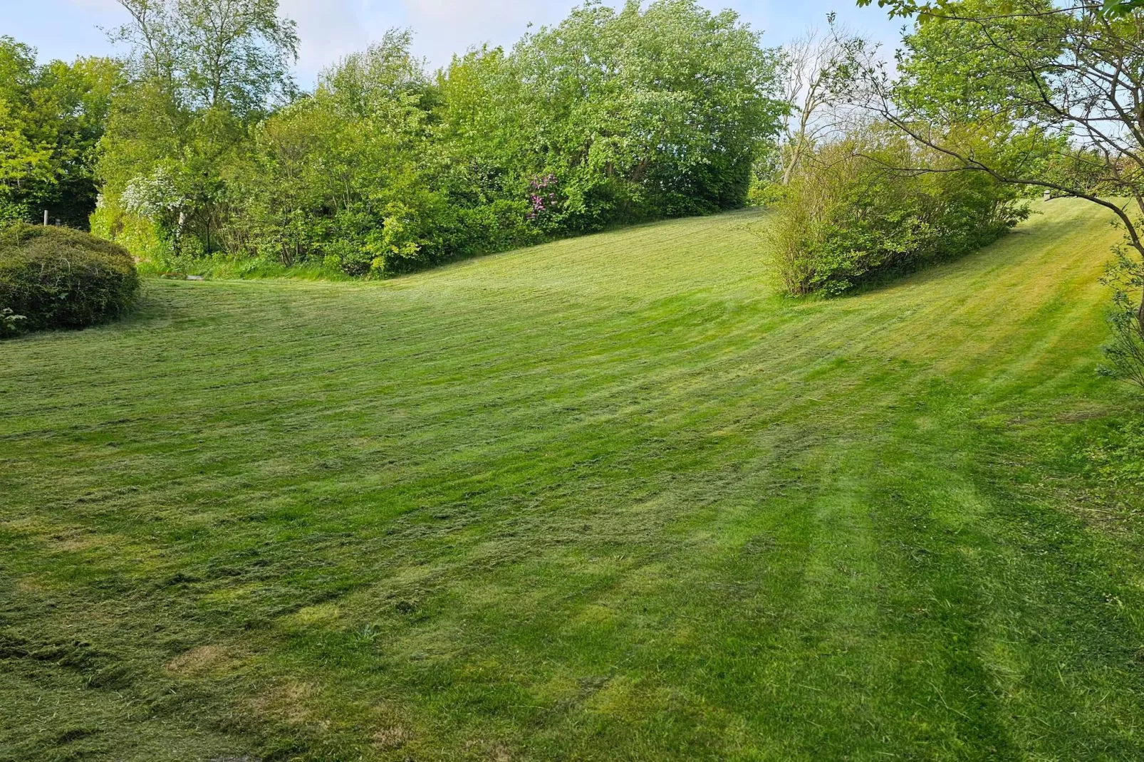 Business dobbeltværelse-Vue