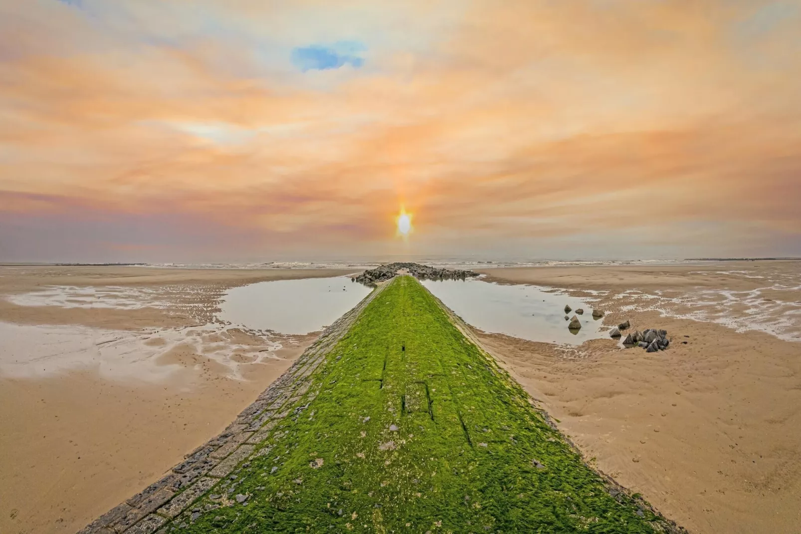 MARTINY 0801 - Areas within 5km in summer