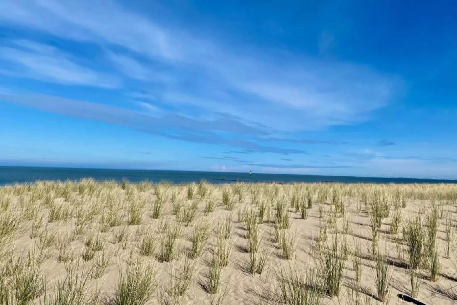 Residentie NORMANDY-31-Areas within 1km in summer