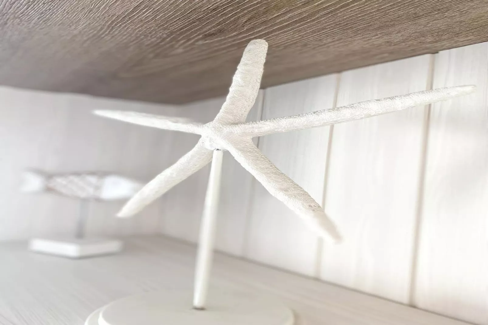 MARTINY 0801 - Ambiance