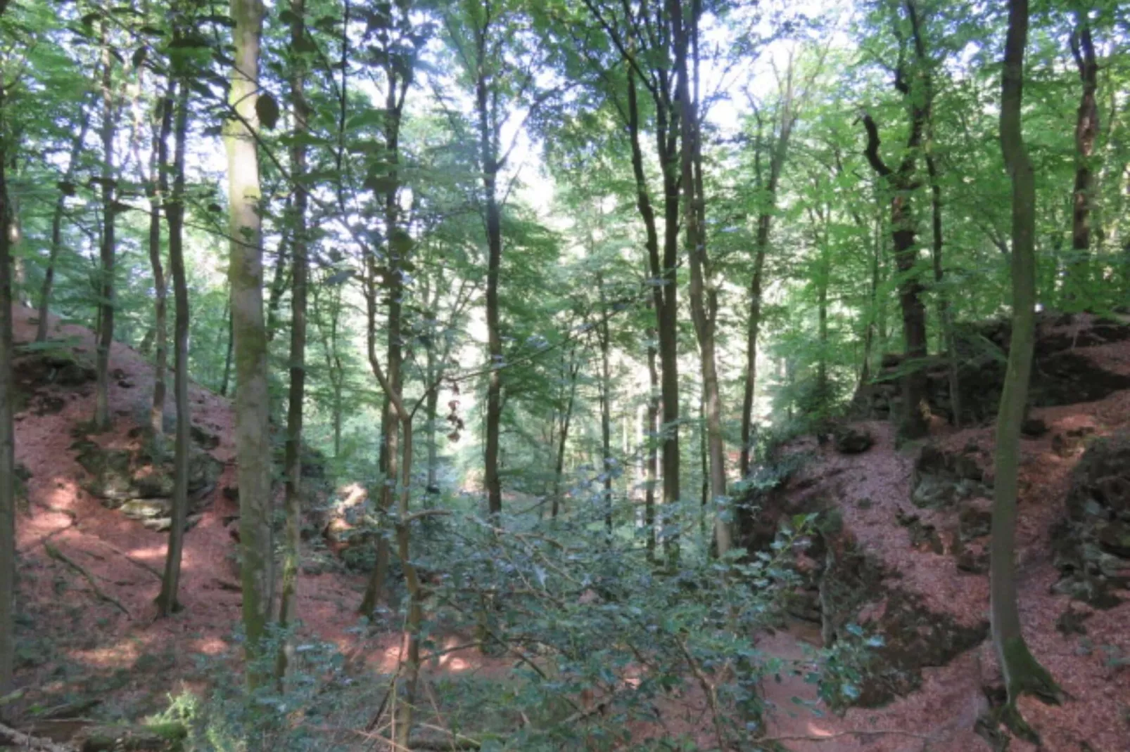 Camping Nommerlayen 2-Gebiete Sommer 5 km
