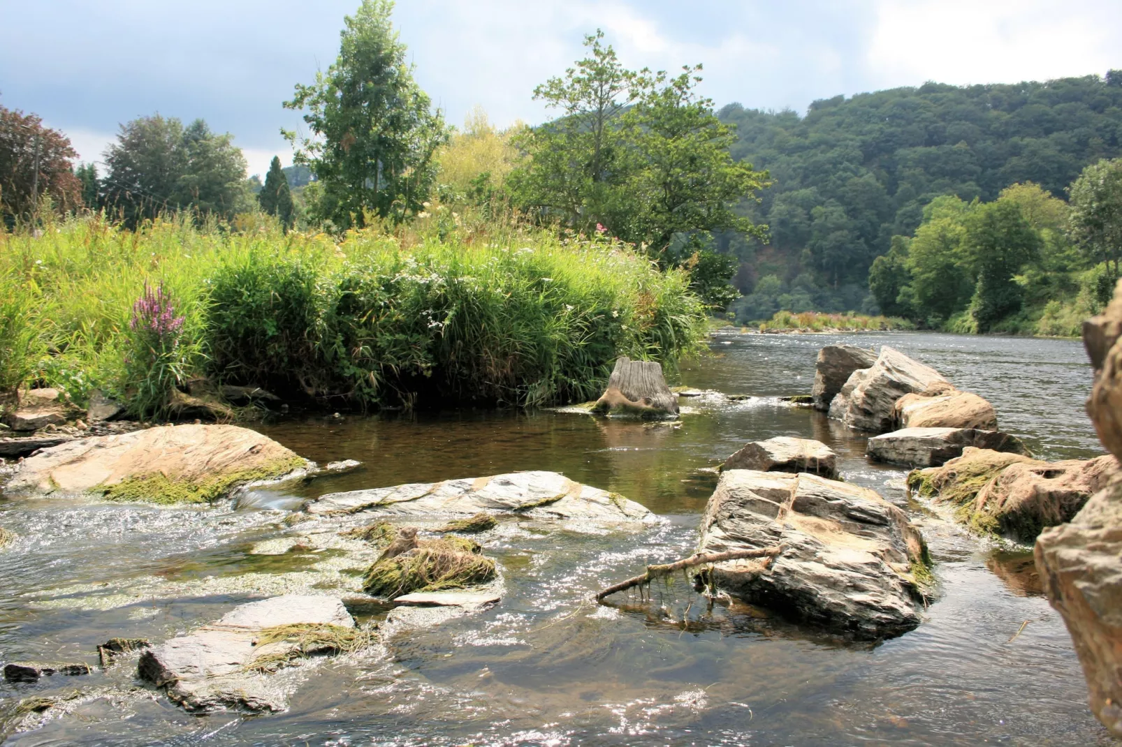 Au Coeur d'Alle - Triple Room with Bathroom-Gebiete Sommer 20 km