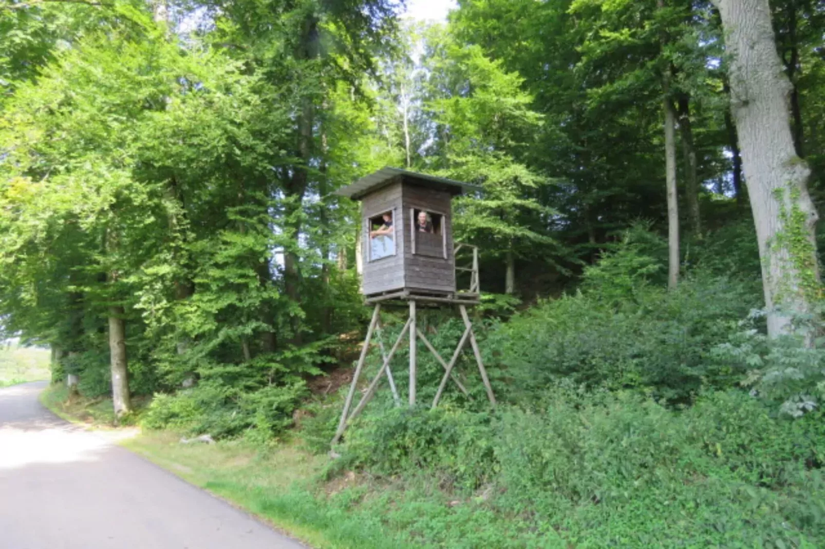 Resort Nommerlayen 3-Areas summer 5km