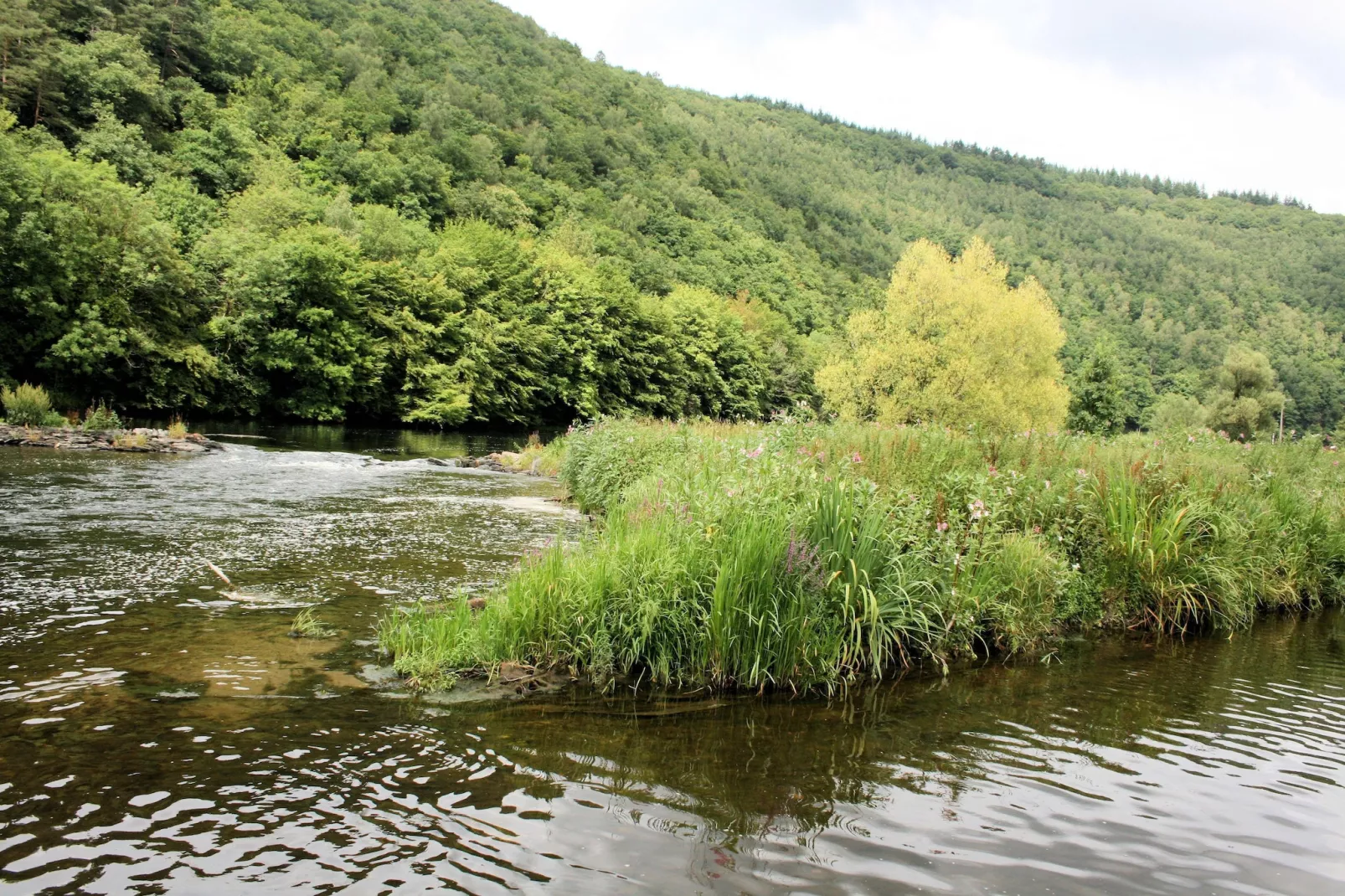 Au Coeur d'Alle - Triple Room with Bathroom-Gebiete Sommer 20 km