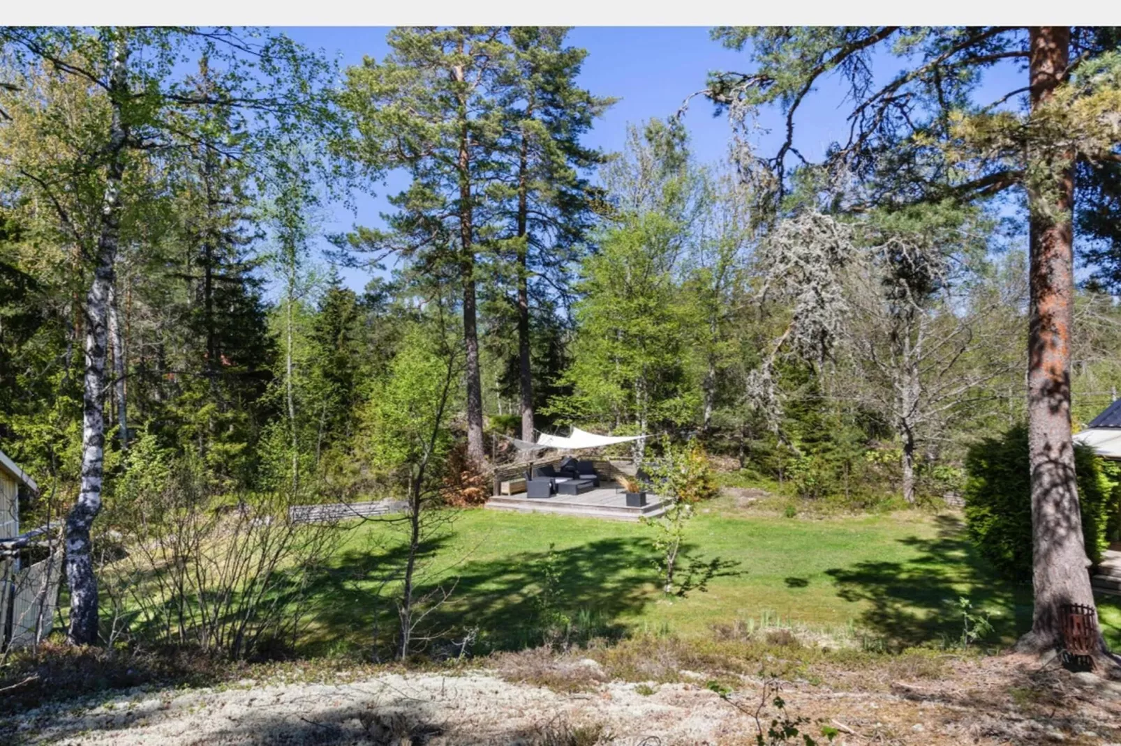 Cozy Forest Hideaway with Hot Tub - Outdoor