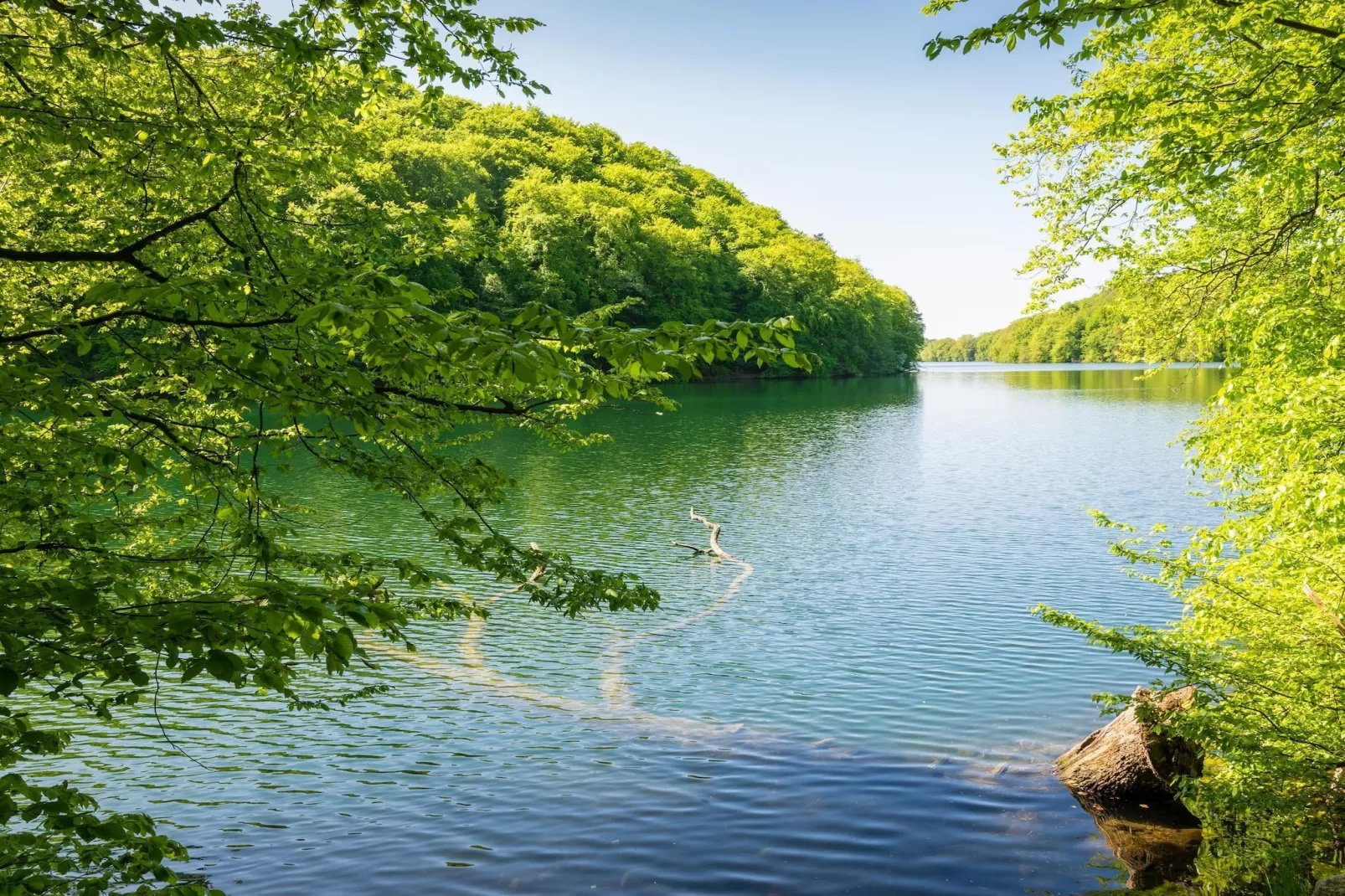 Standard Suite Room - Zones été à 20 km