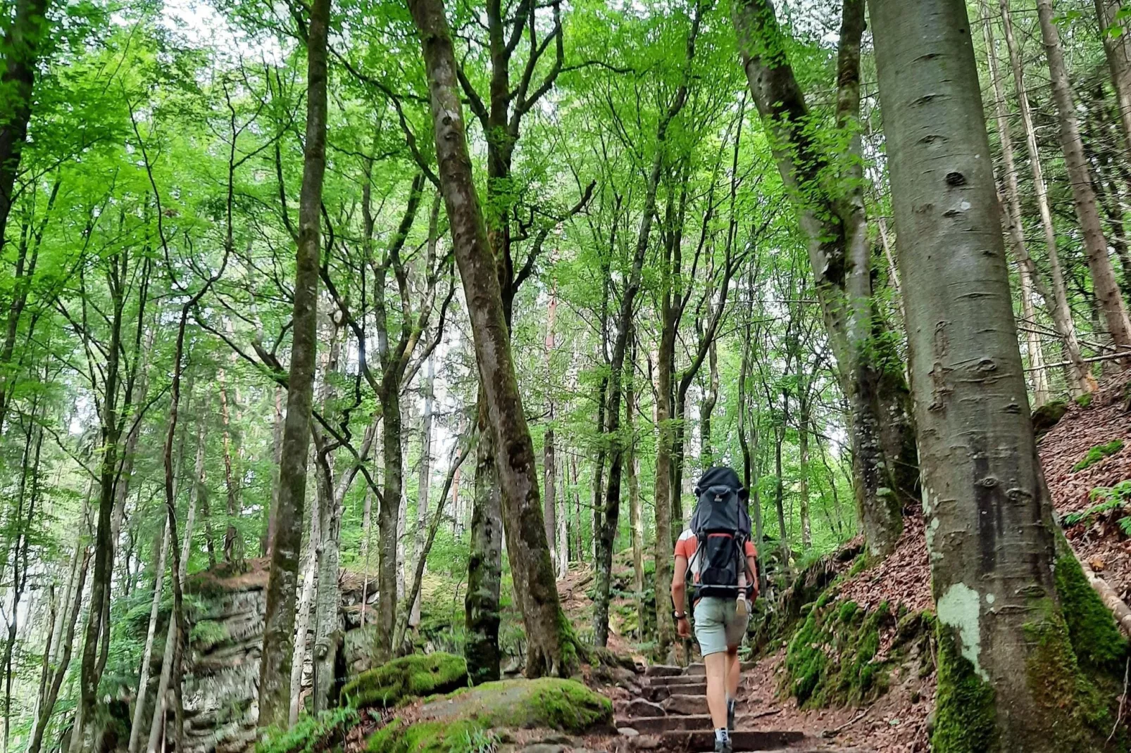 Camping Auf Kengert 2-Areas summer 5km