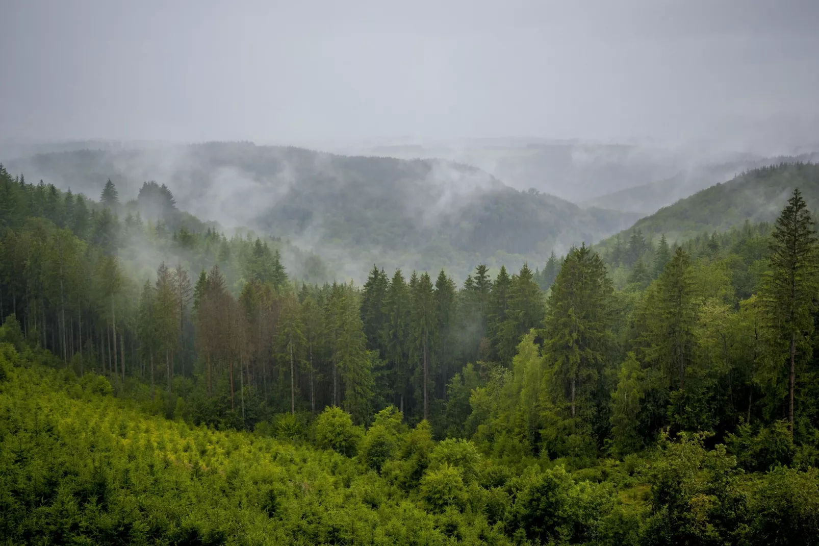 Au Coeur d'Alle - Triple Room with Bathroom-Gebiete Sommer 20 km