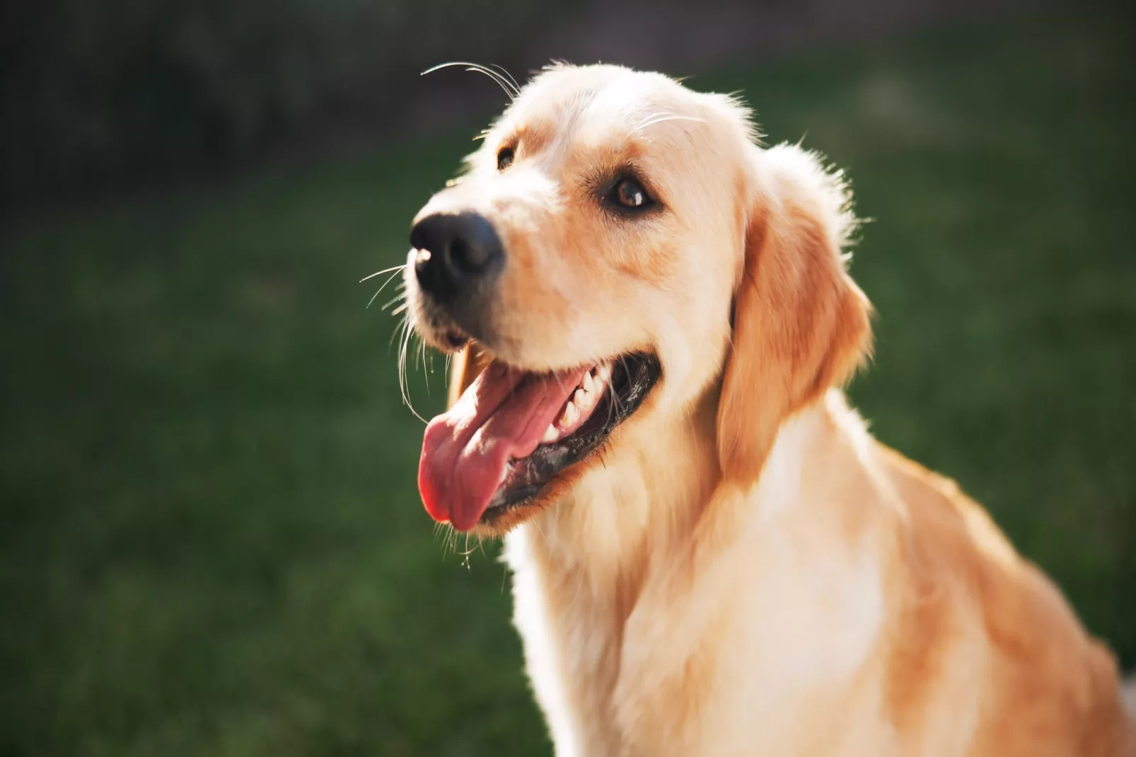 Marina 1 Bedroom Apartment 3 guest - Ambiente